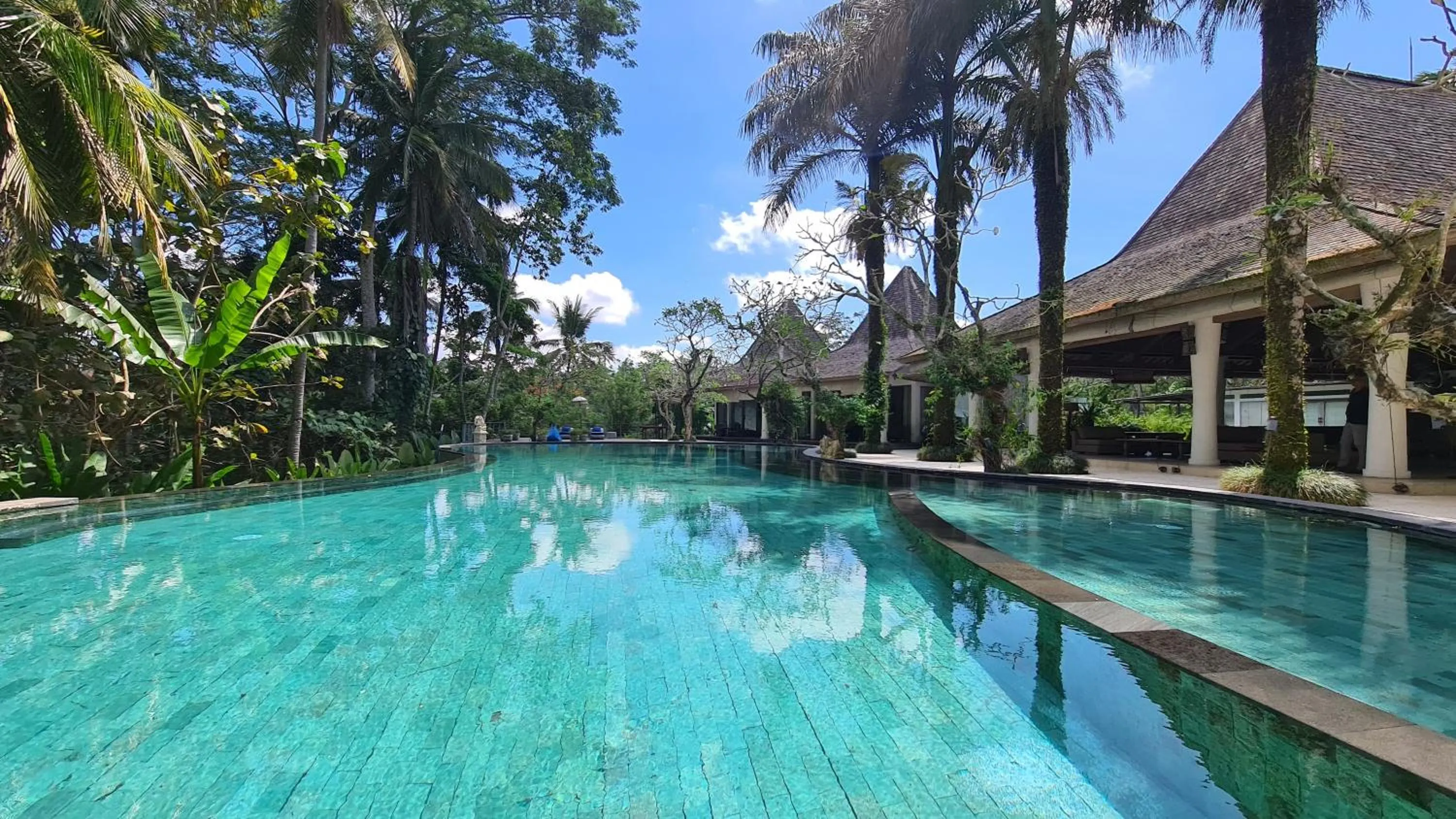 Swimming pool in Ayurvedagram Bali