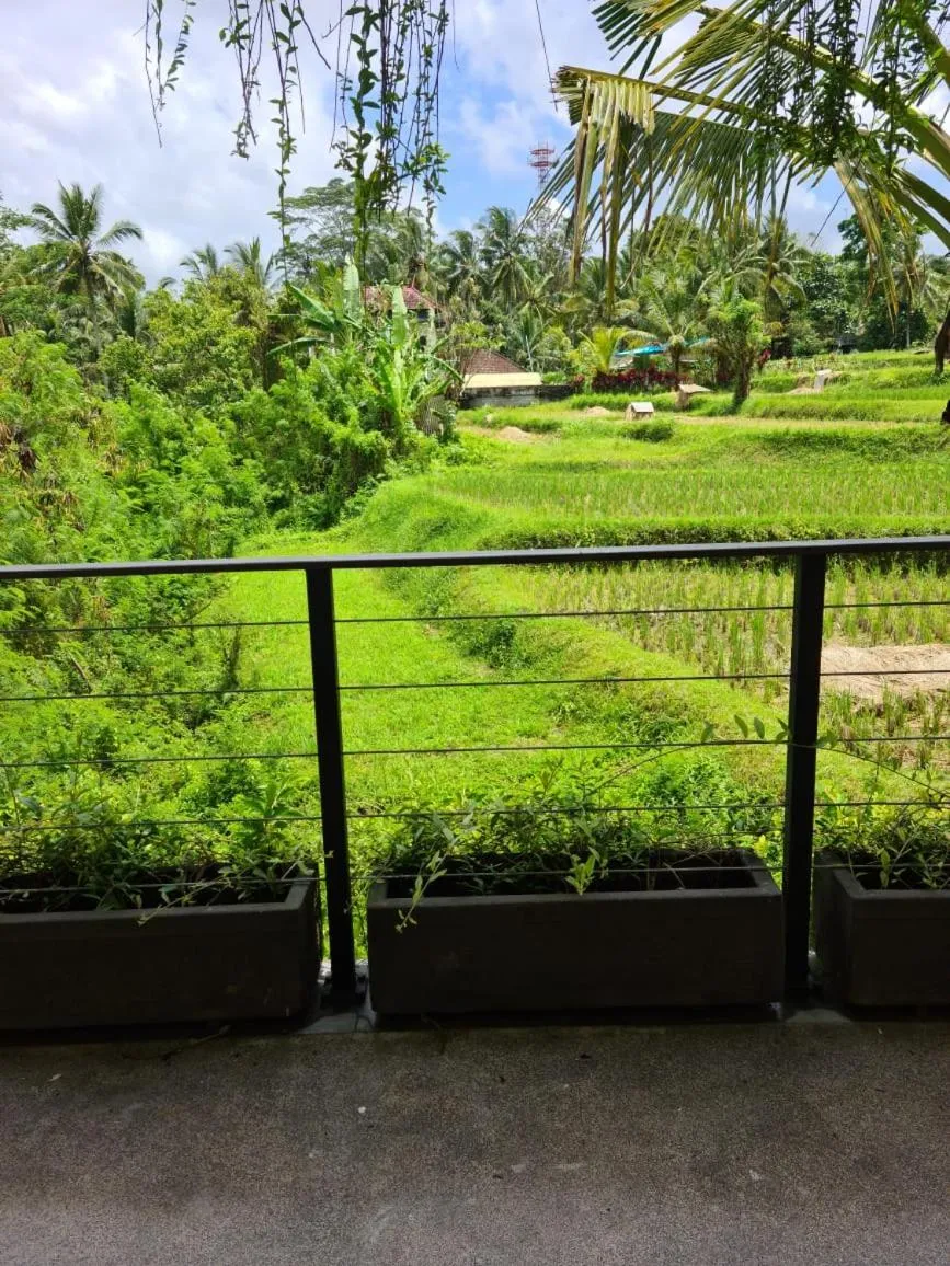 Garden view in Ayurvedagram Bali