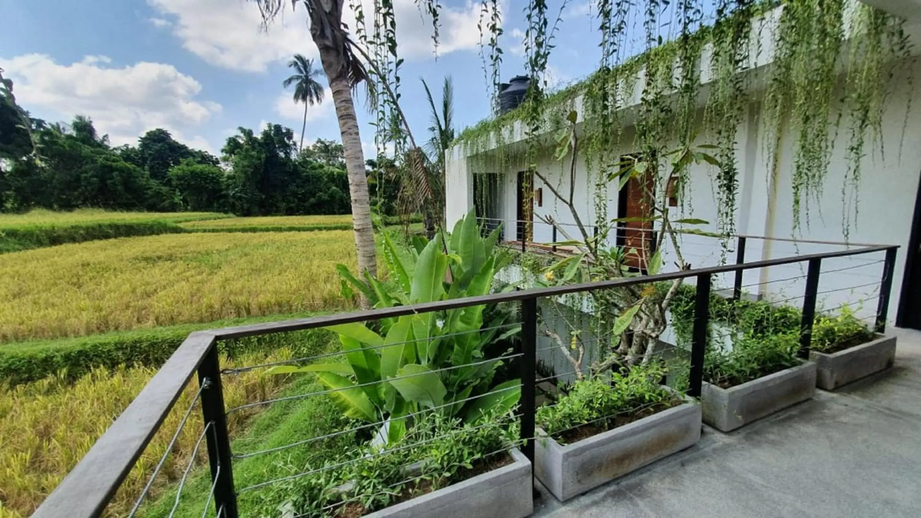 Deluxe Double or Twin Room with Garden View - single occupancy in Ayurvedagram Bali Deluxe Double or Twin Room with Garden View - single occupancy in Ayurvedagram Bali