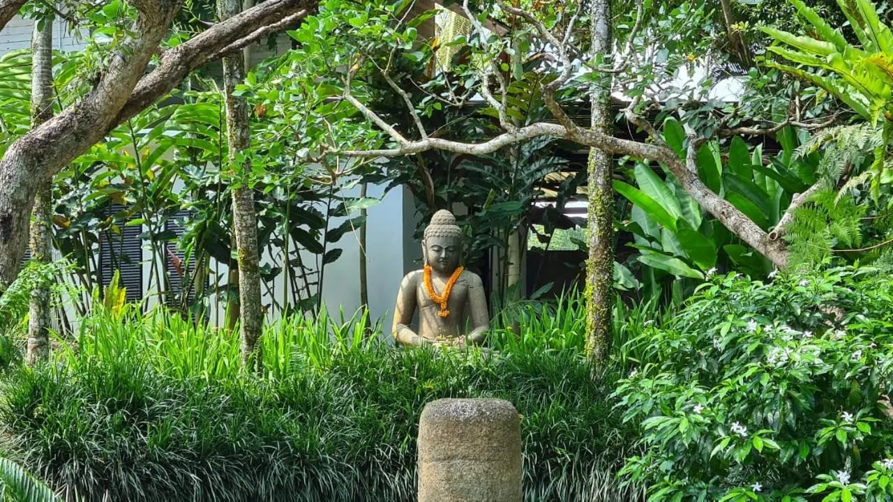 Garden in Ayurvedagram Bali