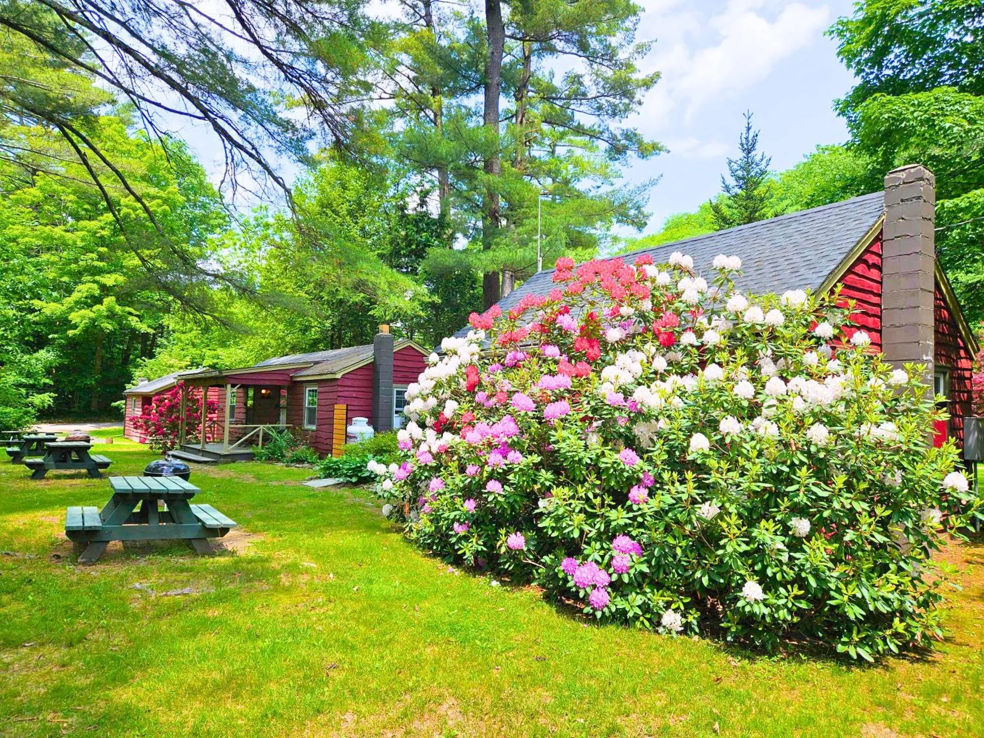 Property building in Phoenicia Lodge