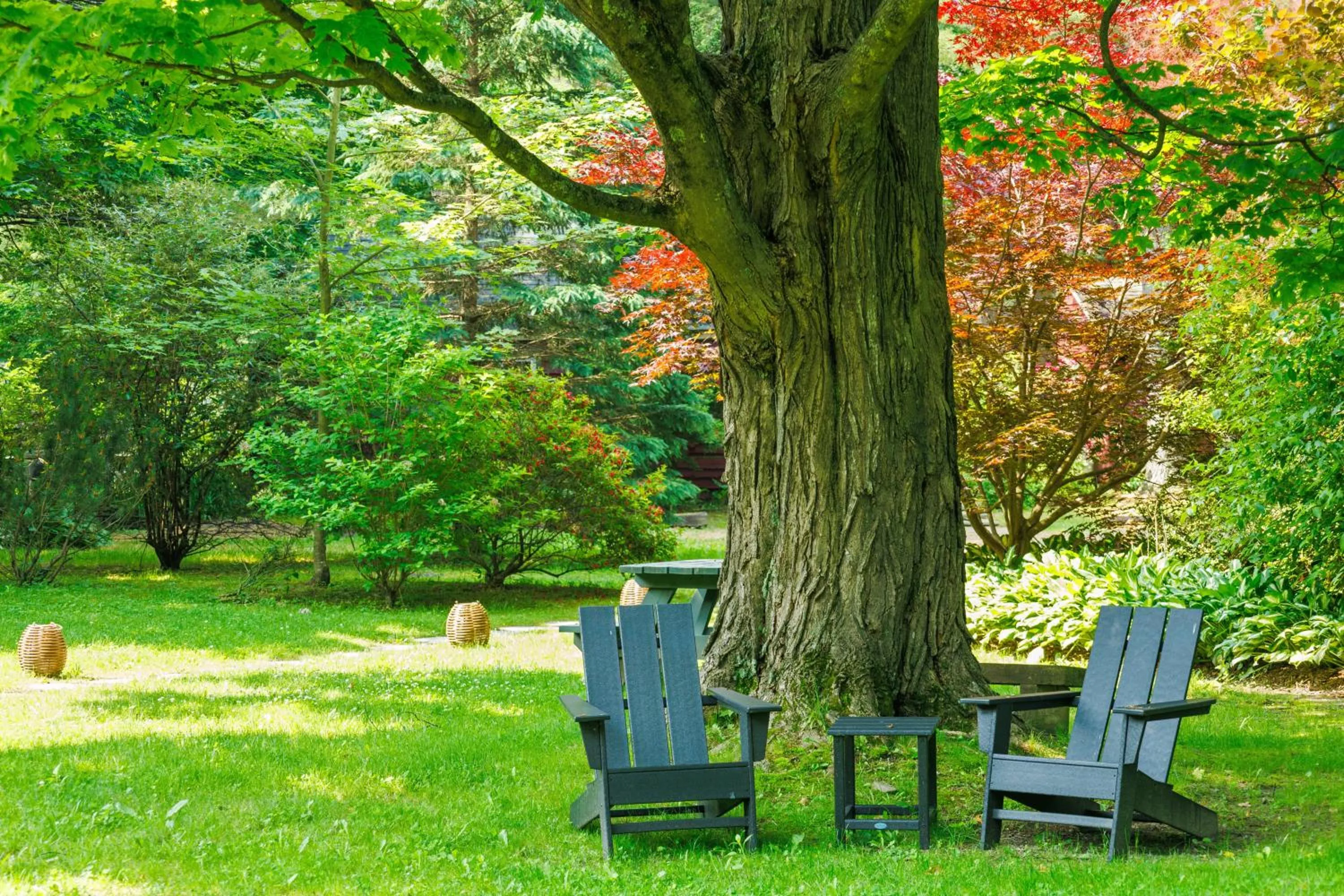 Natural landscape in Phoenicia Lodge