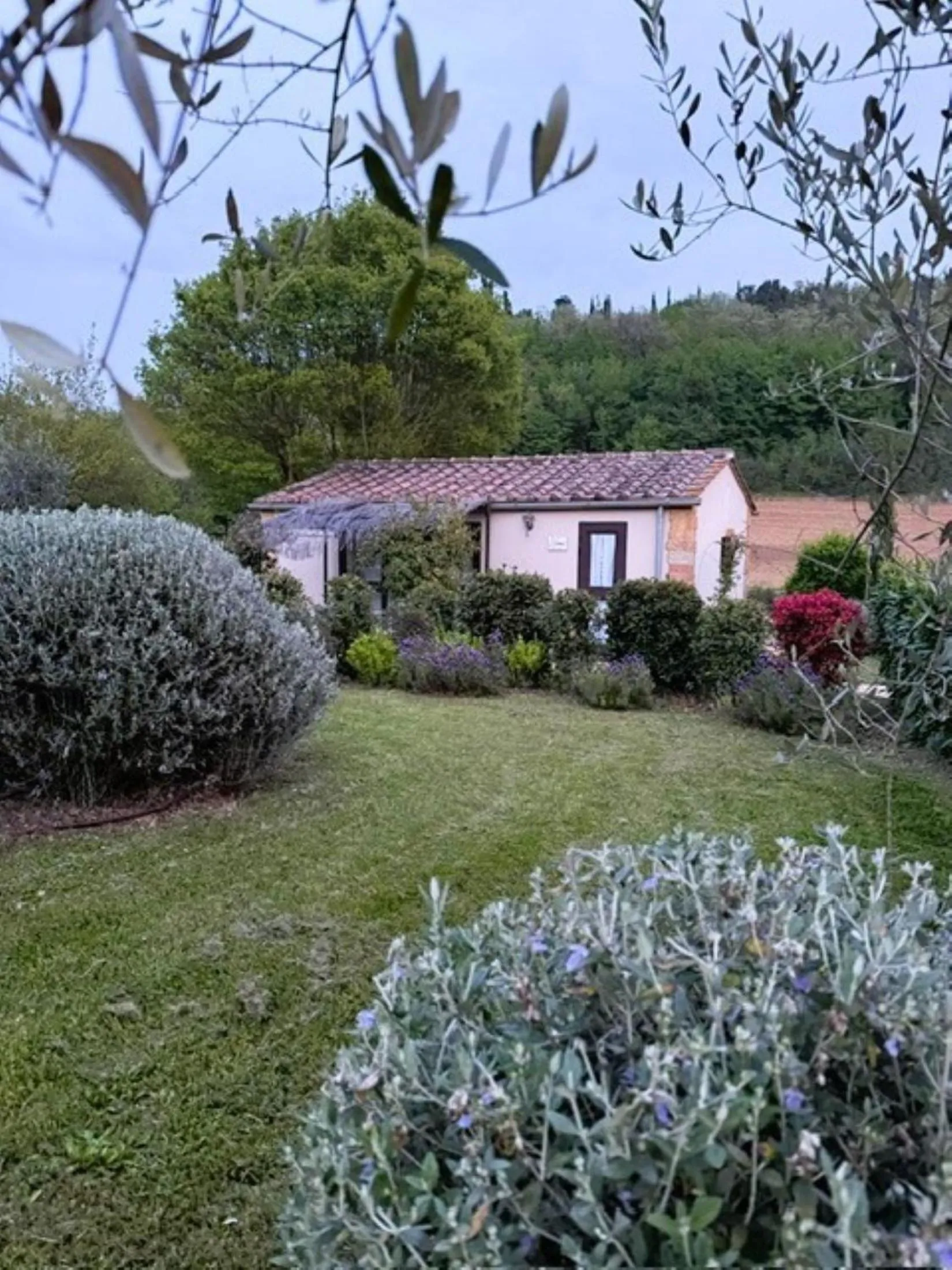 Property building in Podere La Paolina