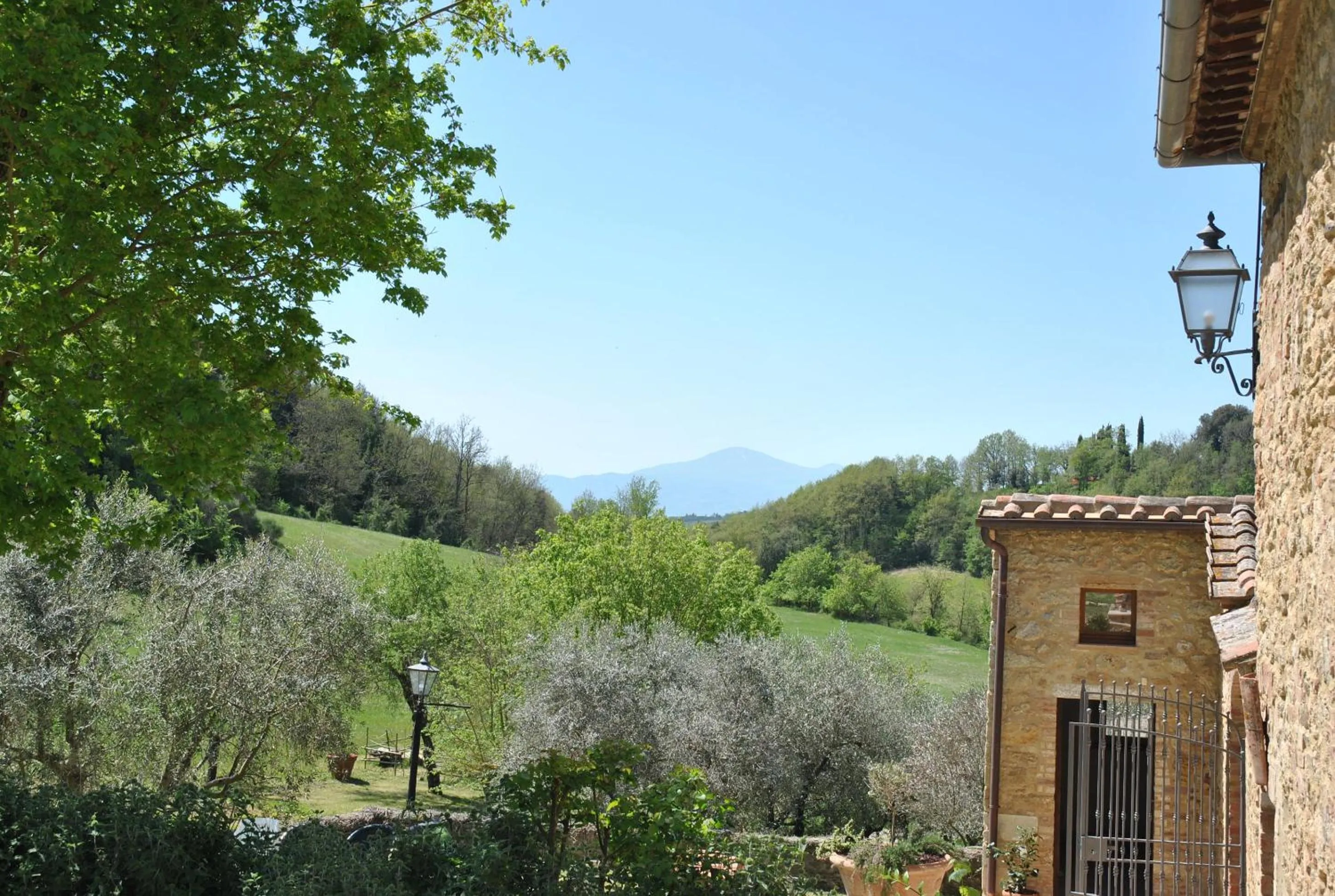 Spring in Podere La Paolina