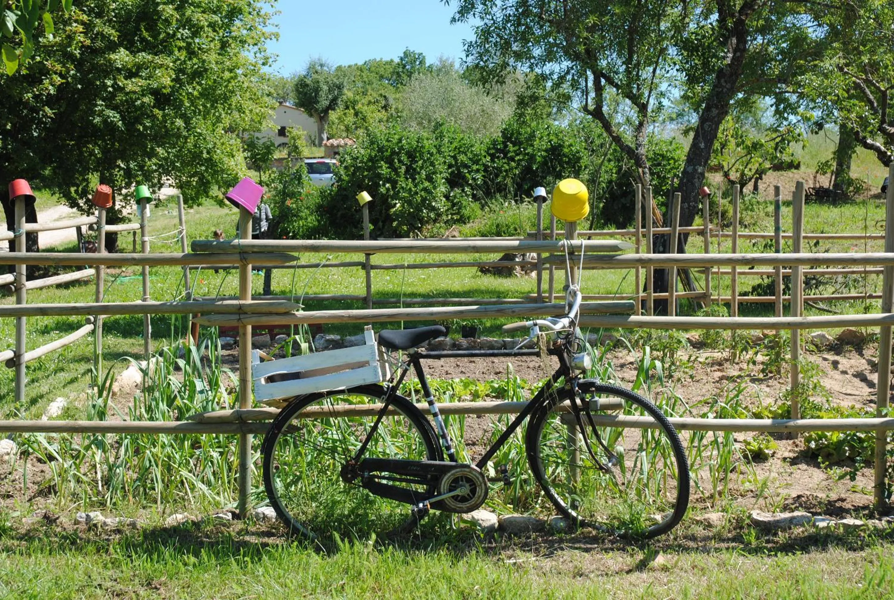 Day in Podere La Paolina