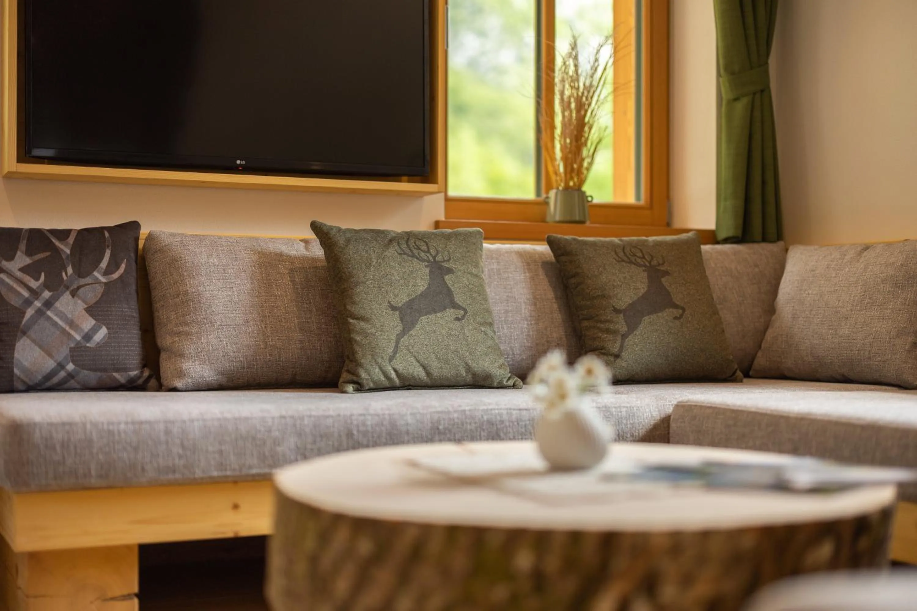 TV and multimedia in PRIVILLAGE Stare - B&B