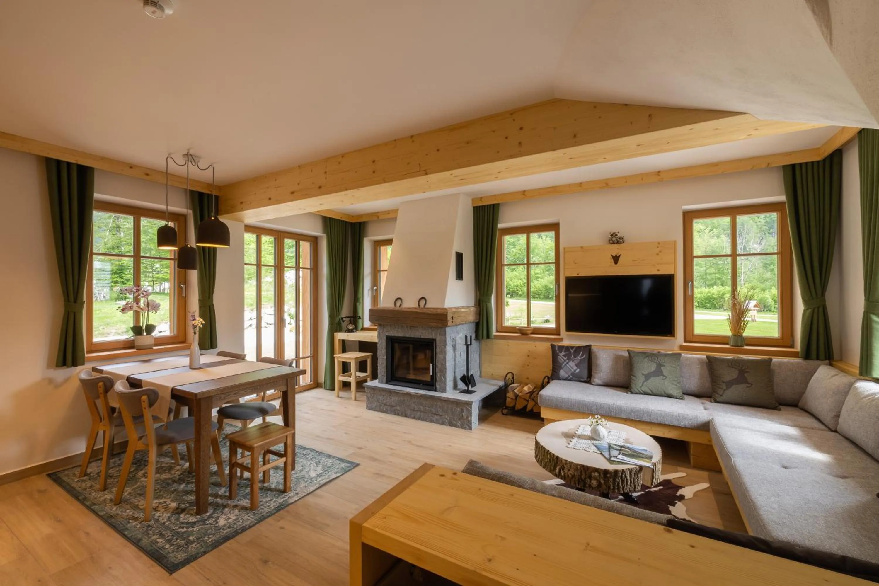 TV and multimedia in PRIVILLAGE Stare - B&B