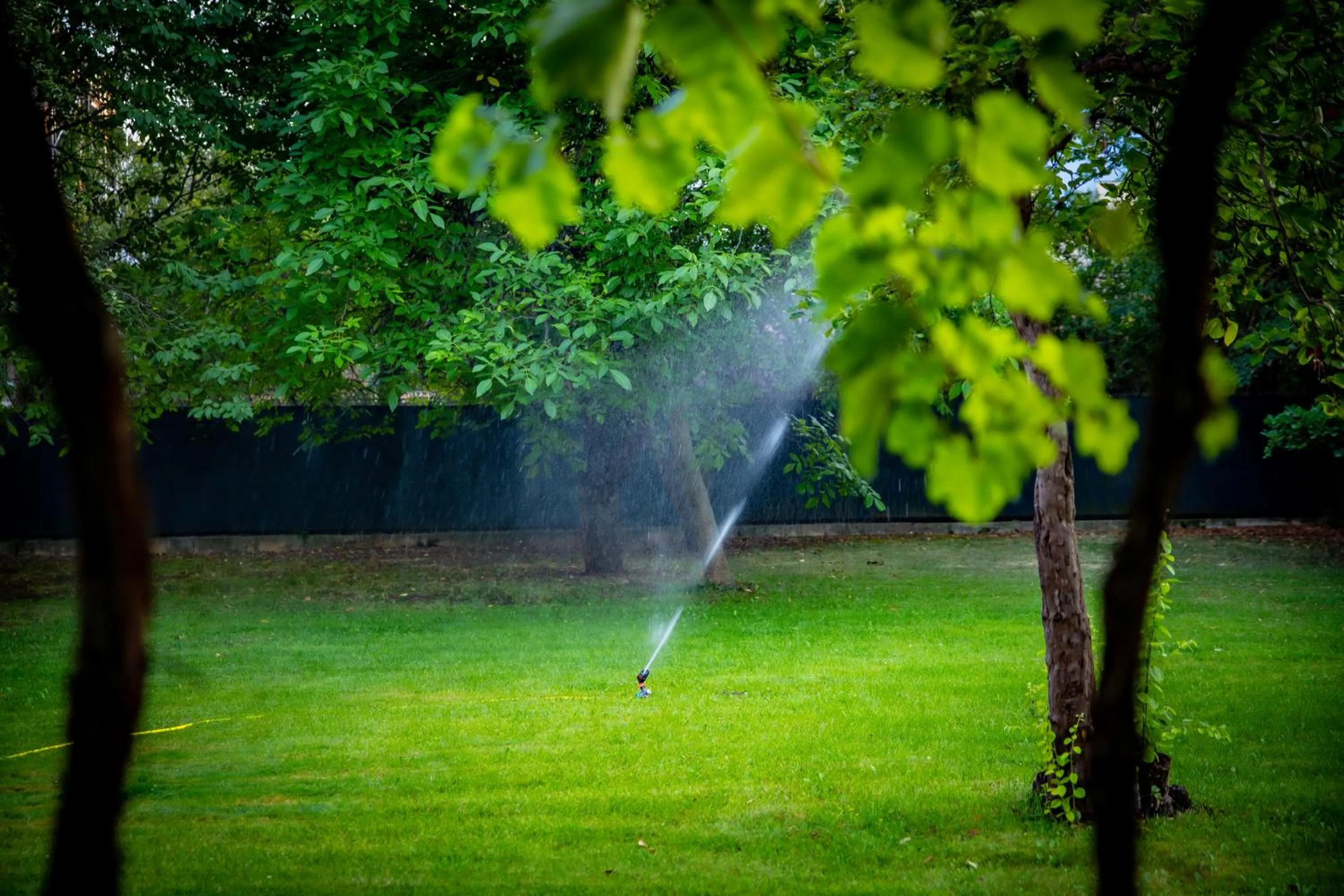 Day in Hotel ZOO Sofia