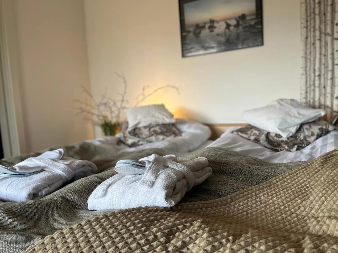 Twin Room with Spa Access in Fröjel Resort & Spa