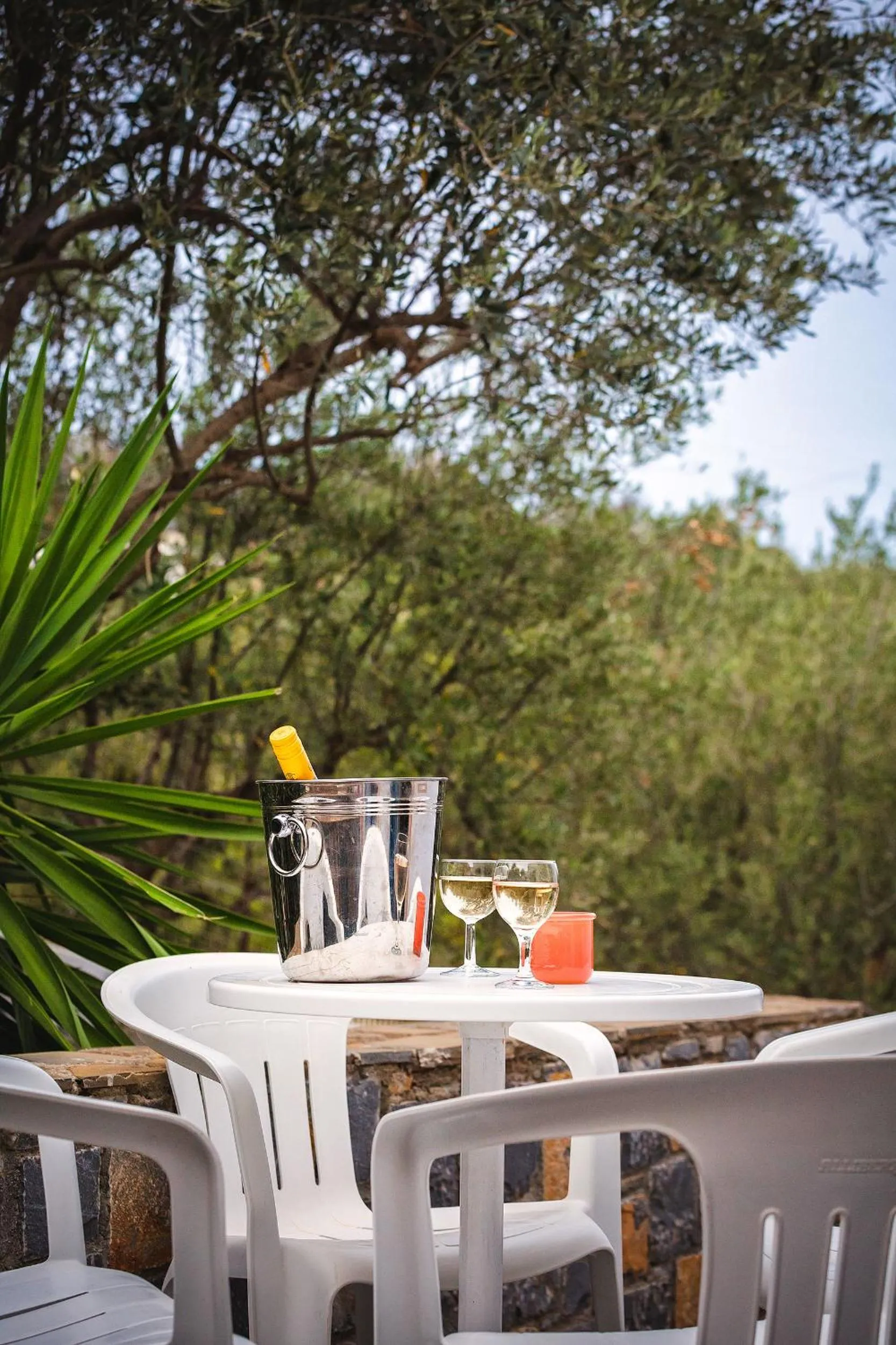 Patio in Primavera Paradise Apartments