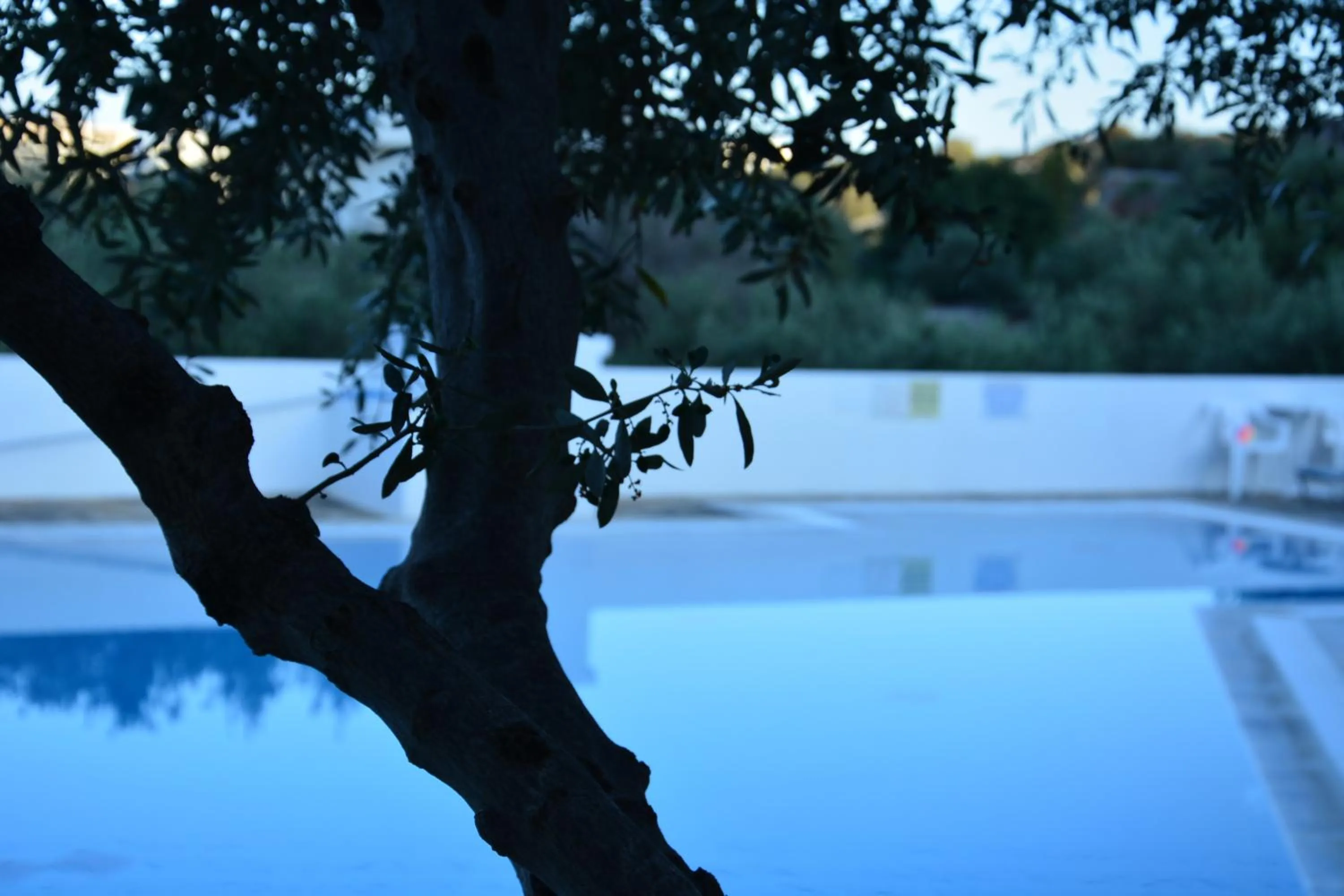 Primavera Paradise Apartments