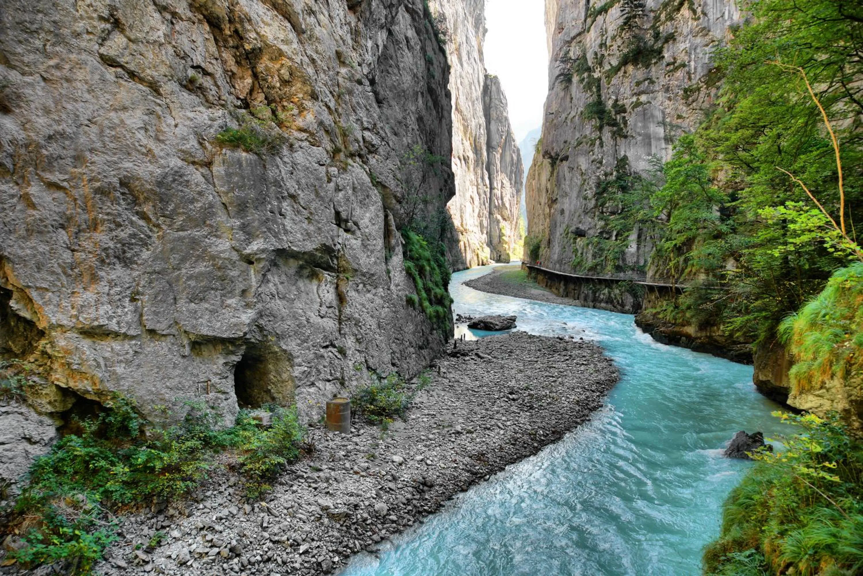 Natural landscape in Alpenrose