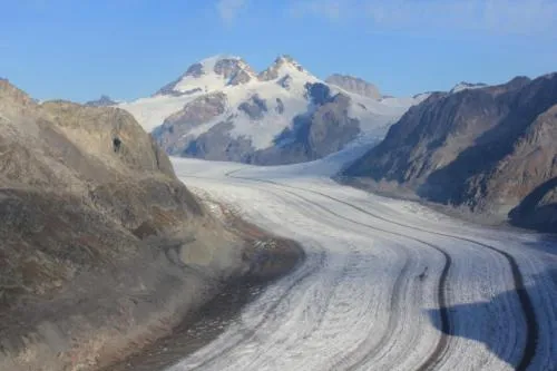 Area and facilities in Alpenrose