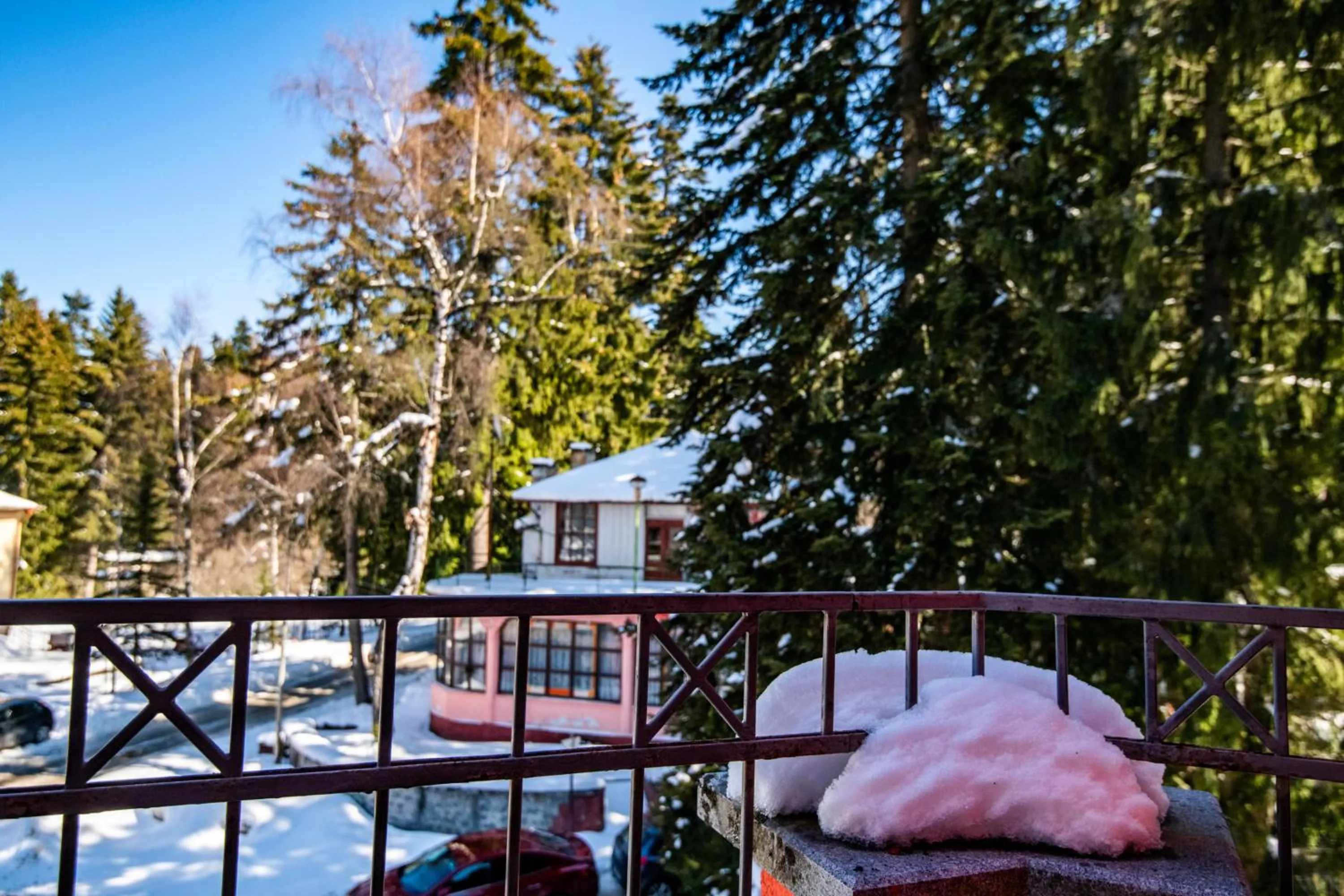 View (from property/room) in Villa Sokol