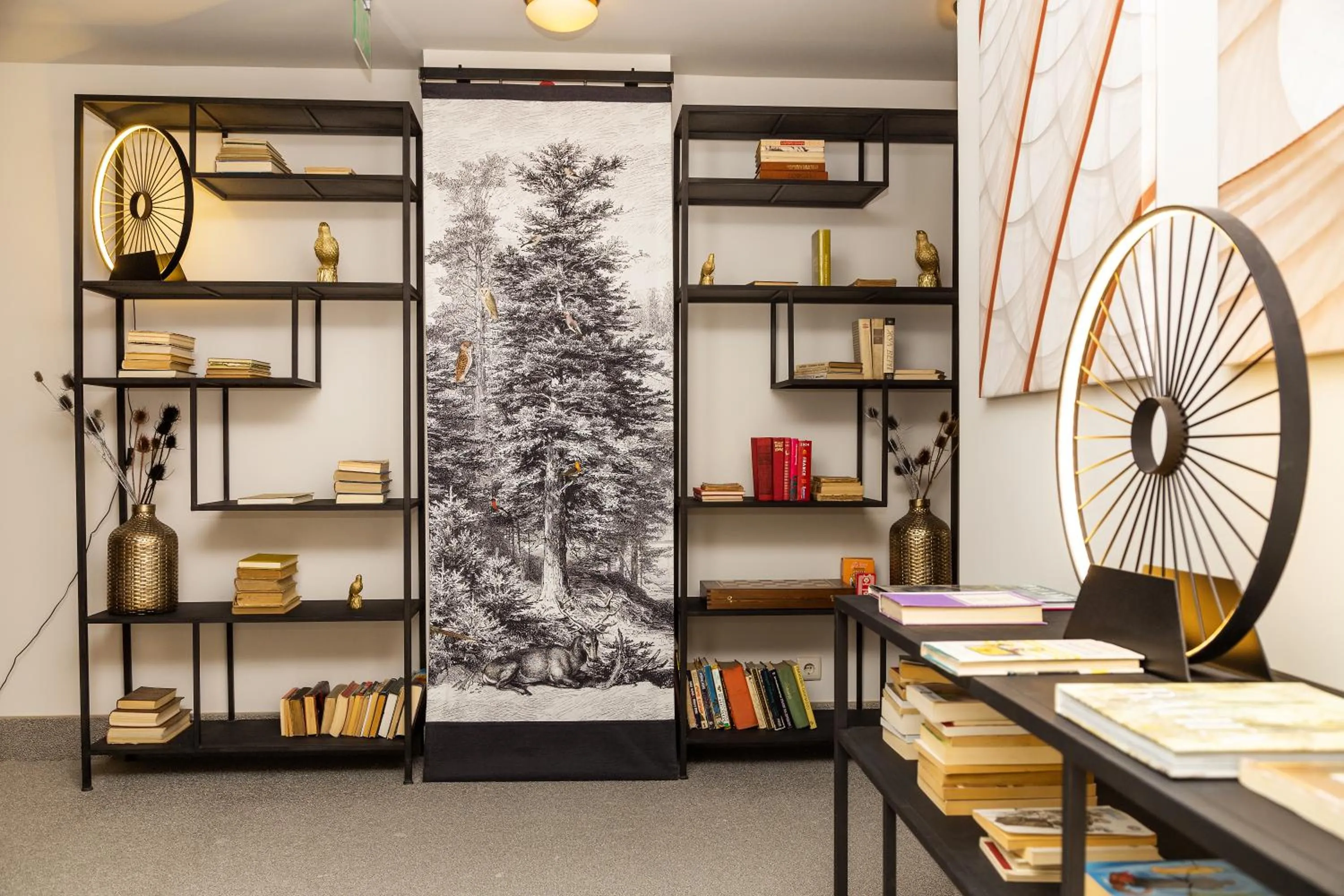 Area and facilities in Villa Sokol