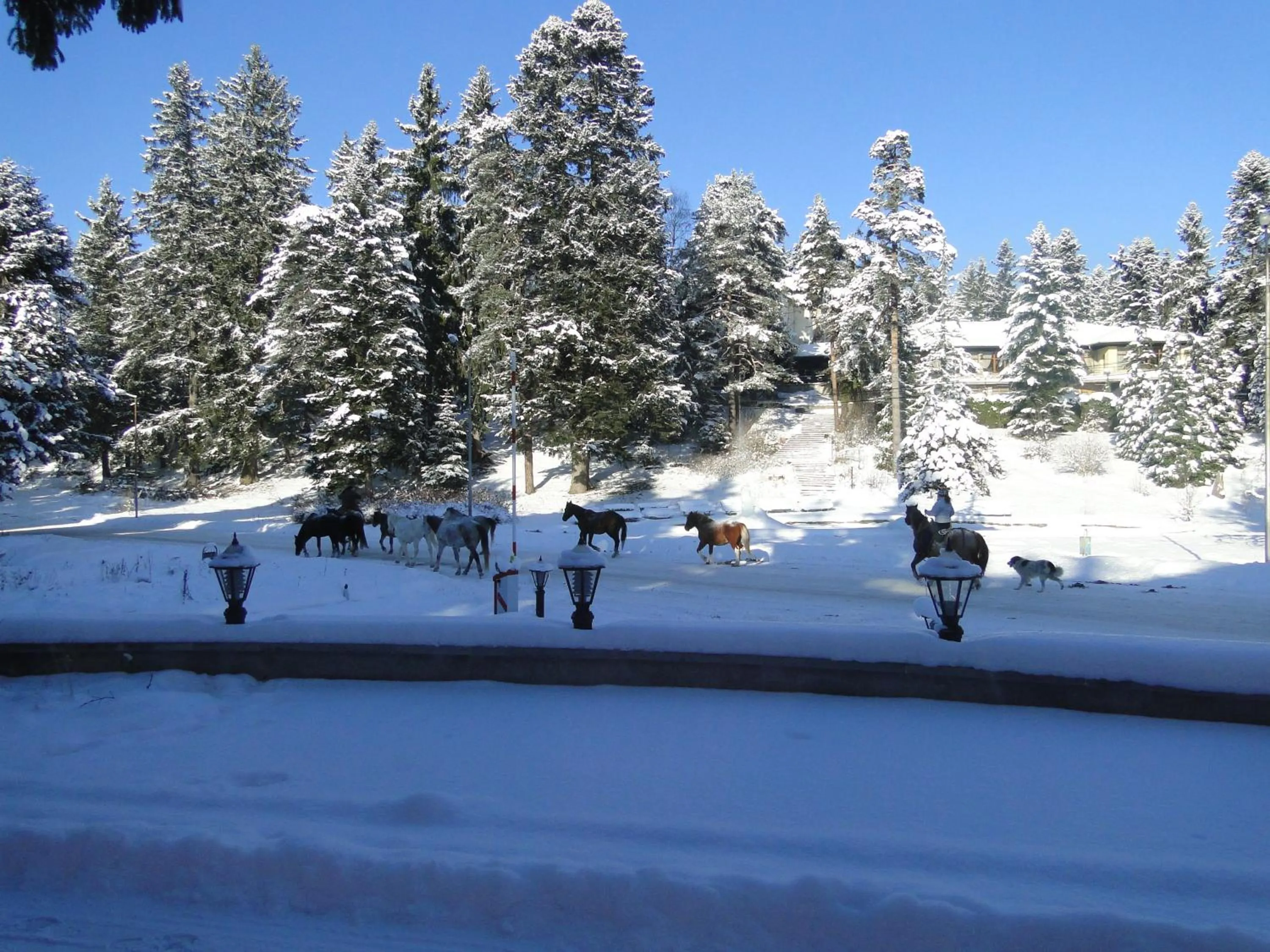 Facade/entrance in Villa Sokol