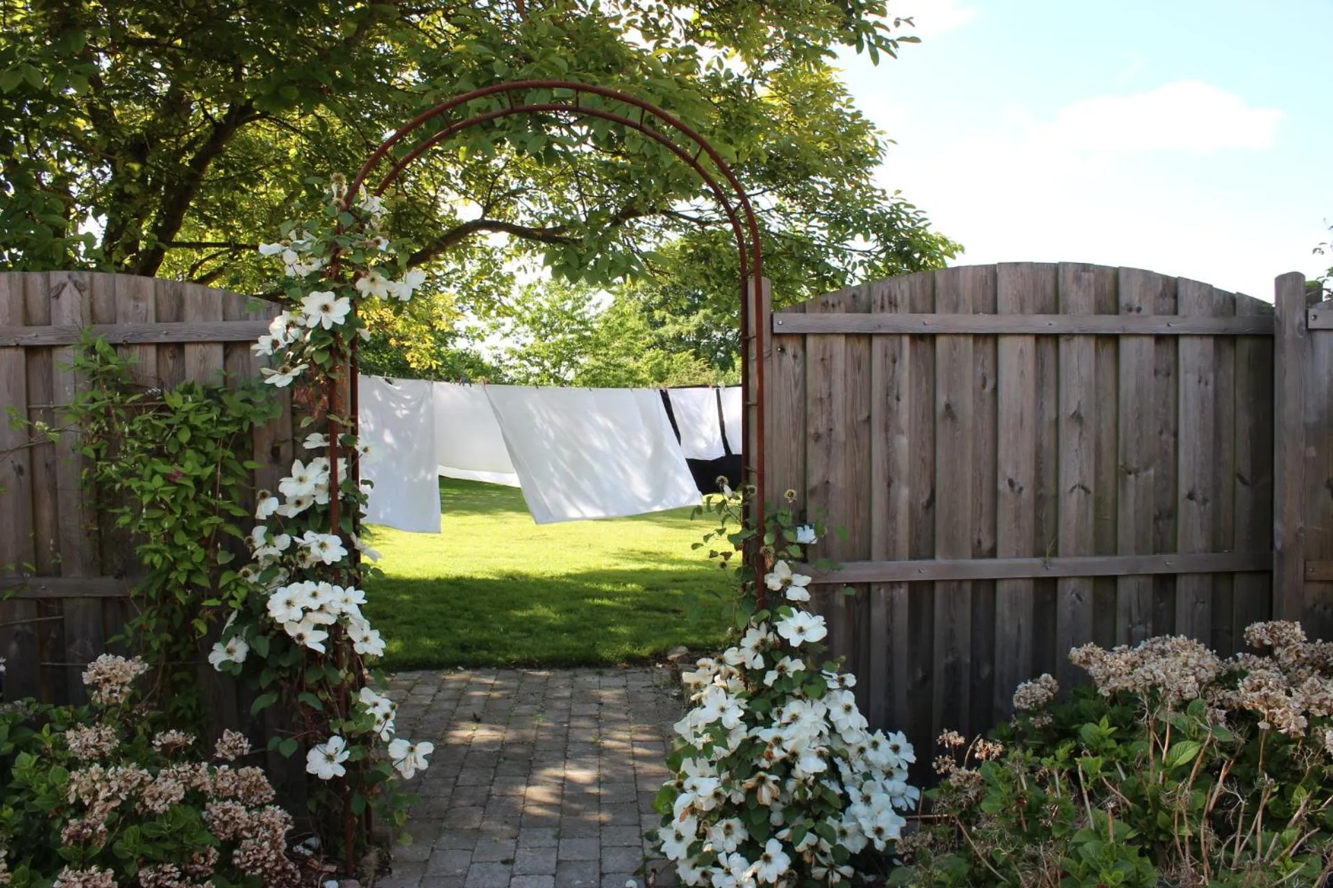 Natural landscape in Safine B&B