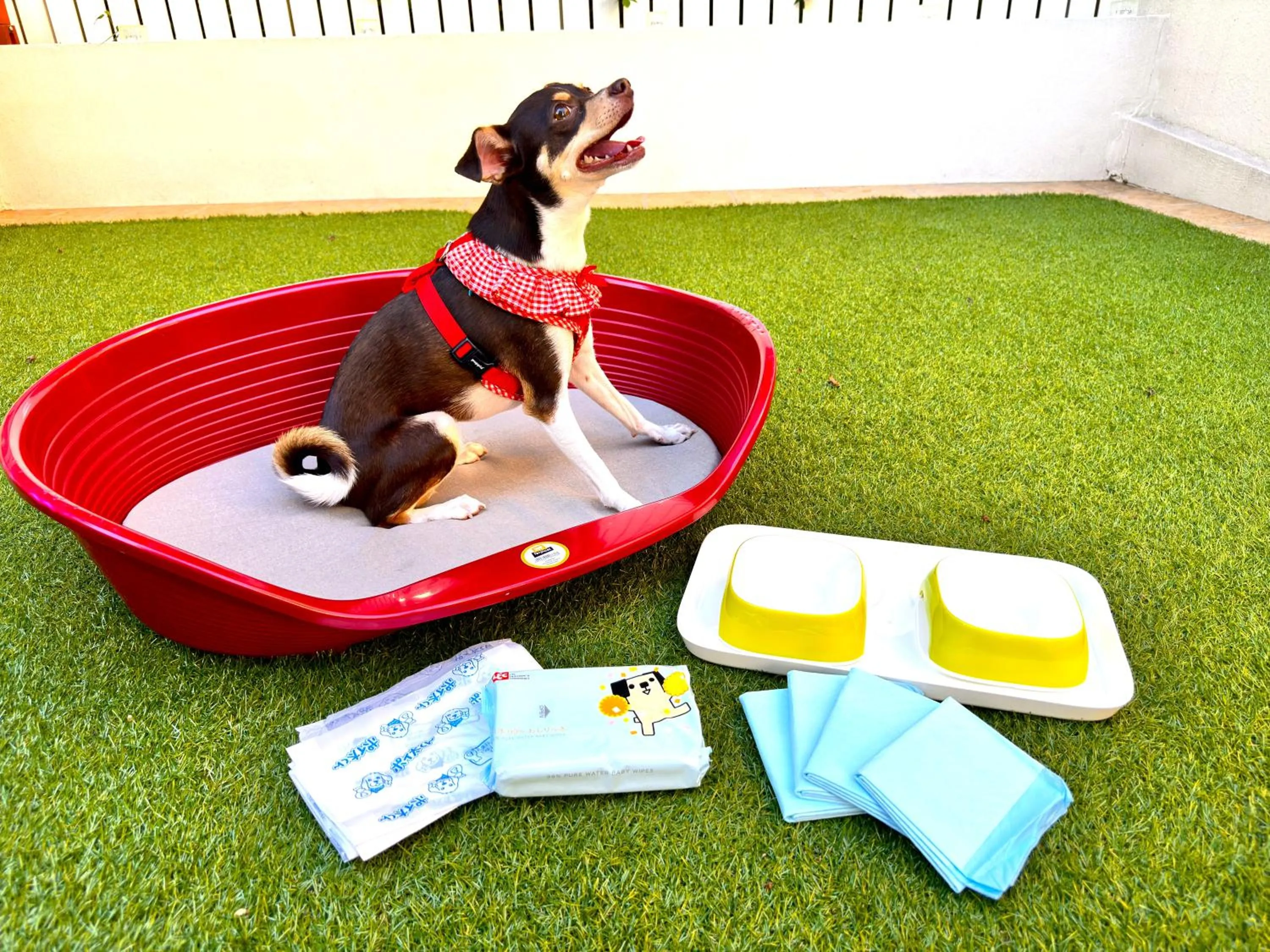 Pets in Riverside Arashiyama