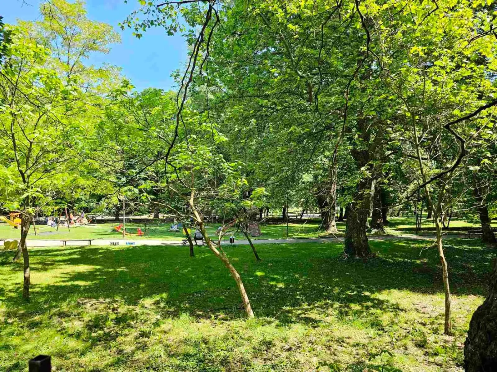 Day in Gardenia Park Hotel