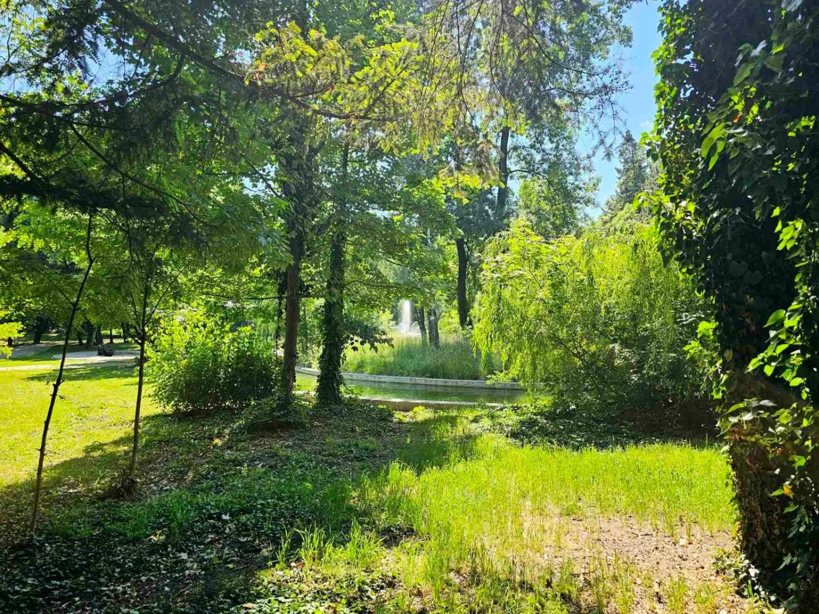 Day in Gardenia Park Hotel