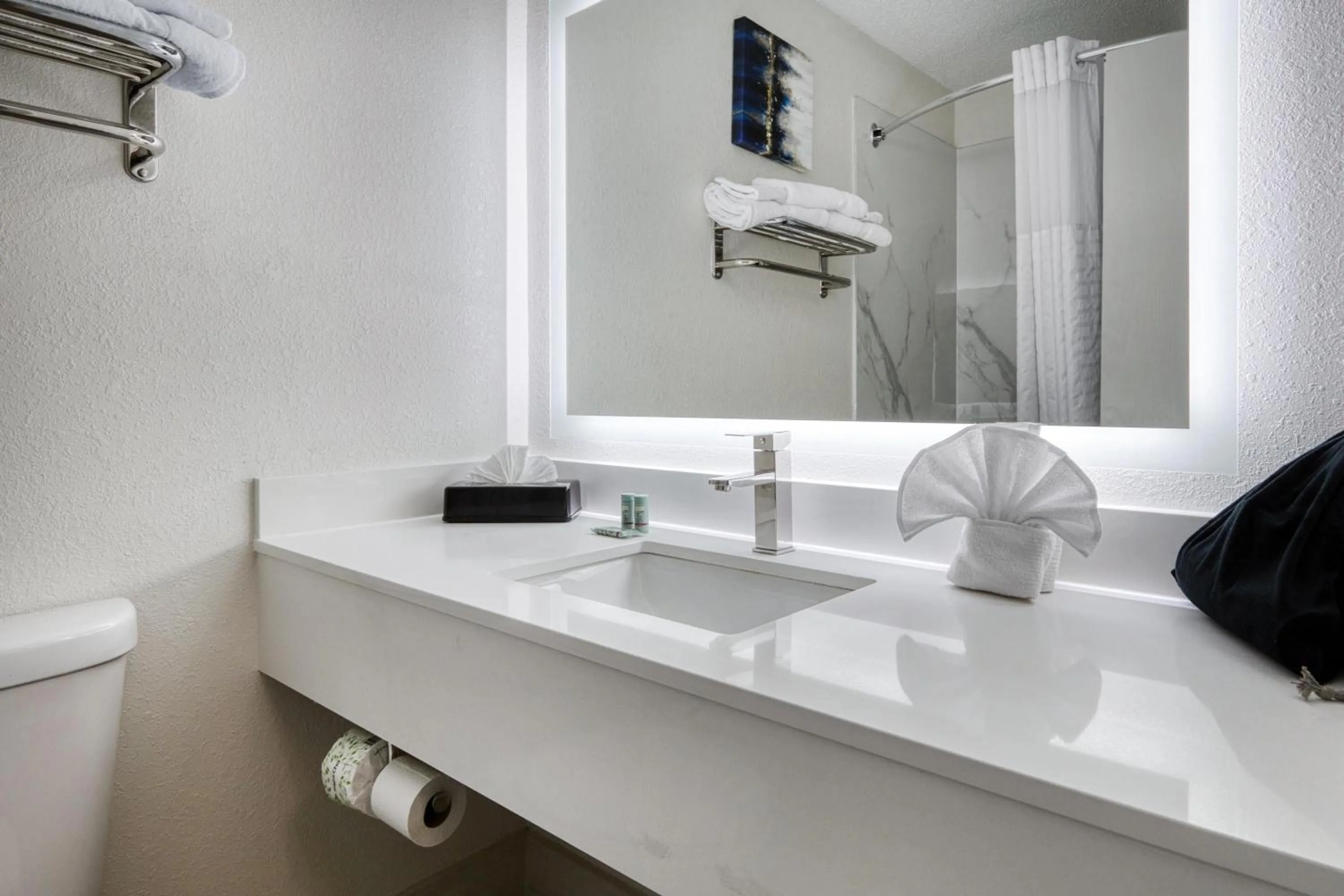 Bathroom in Best Western Greensboro Coliseum Inn