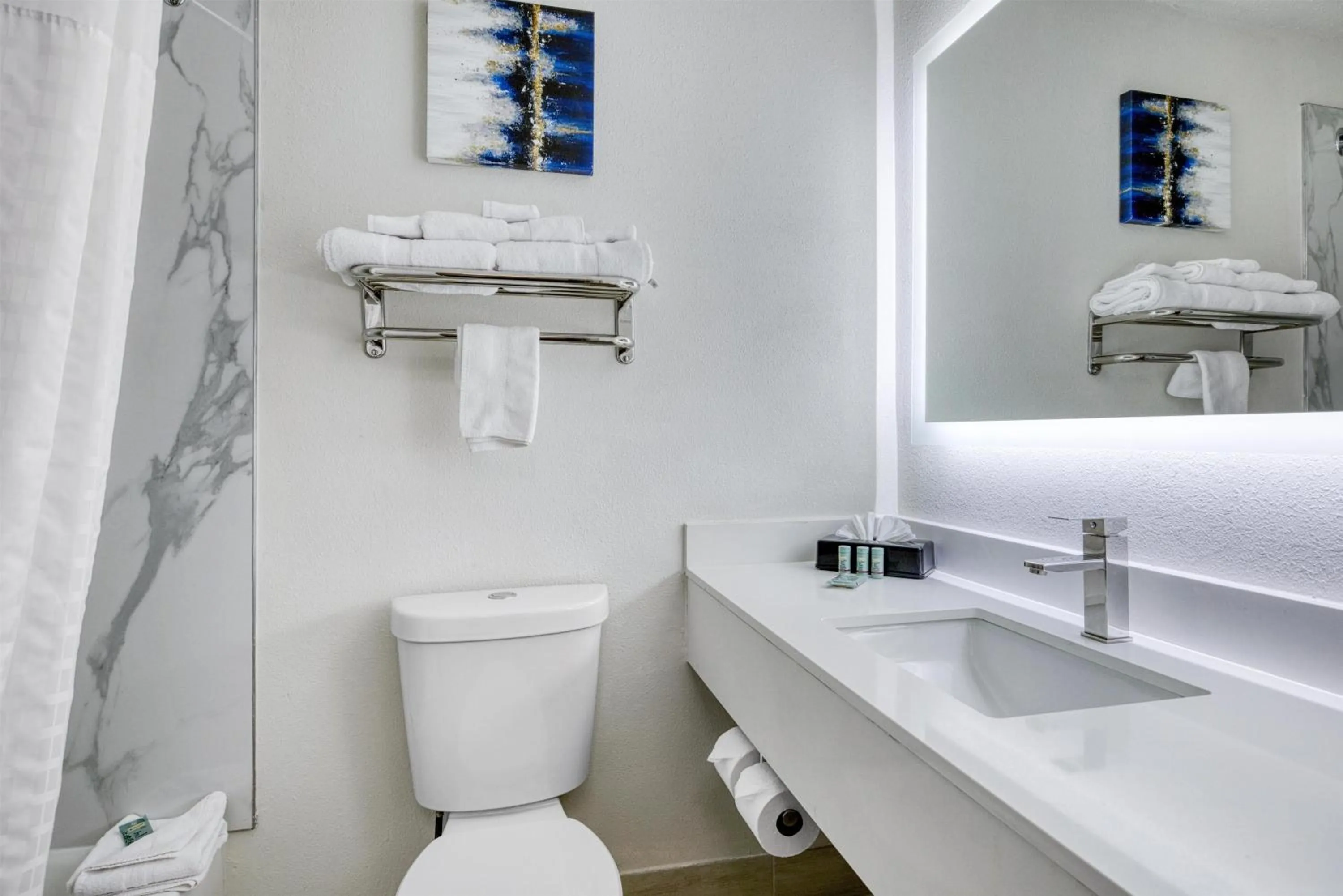 Bathroom in Best Western Greensboro Coliseum Inn