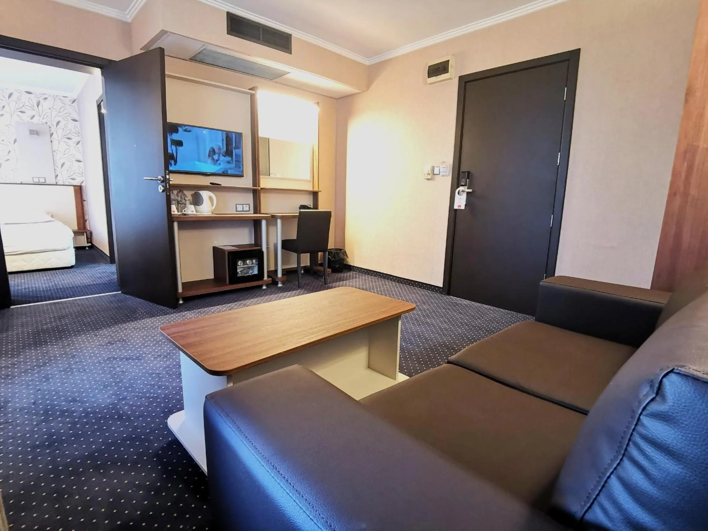 TV and multimedia in Elate Plaza Hotel