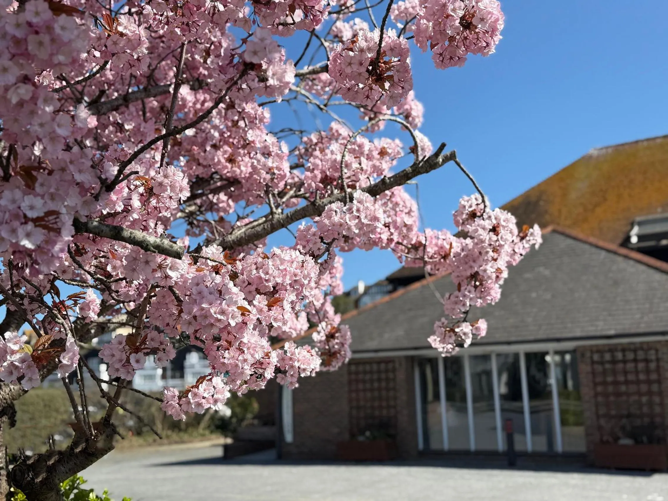 Spring in The River Haven Hotel