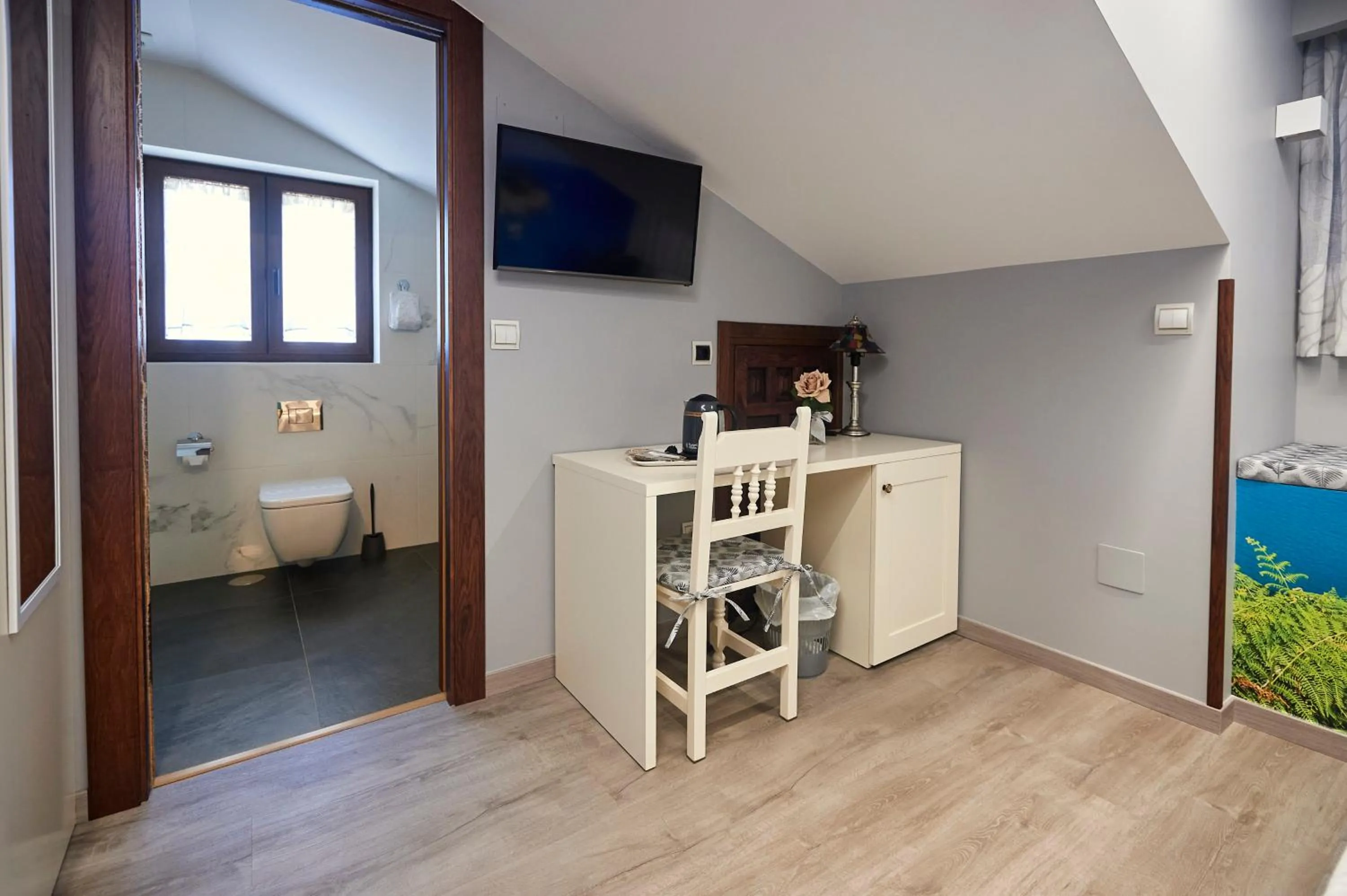 TV and multimedia in Posada Araceli