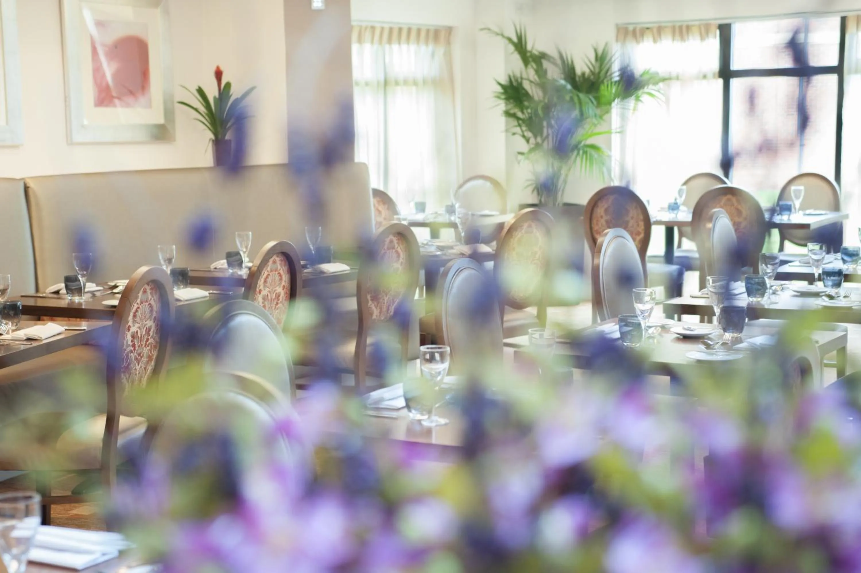 Restaurant/places to eat in Champneys Springs