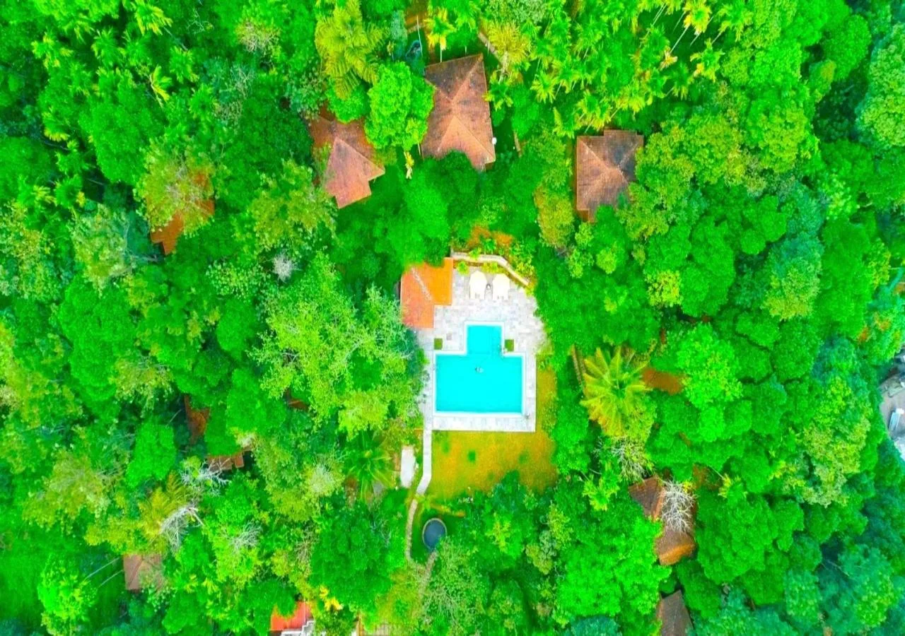 View (from property/room) in Raindrops Resorts Wayanad