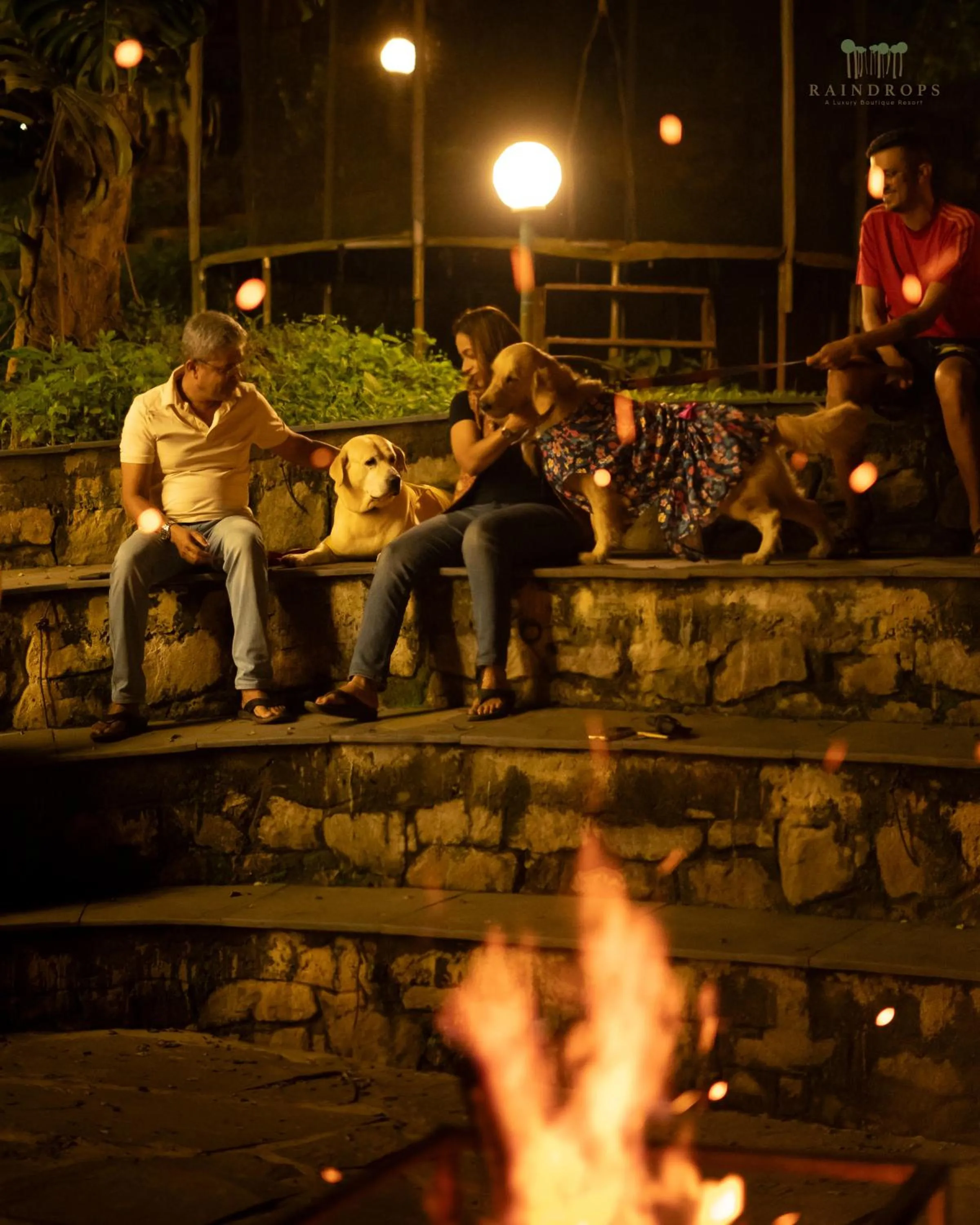 Property building in Raindrops Resorts Wayanad