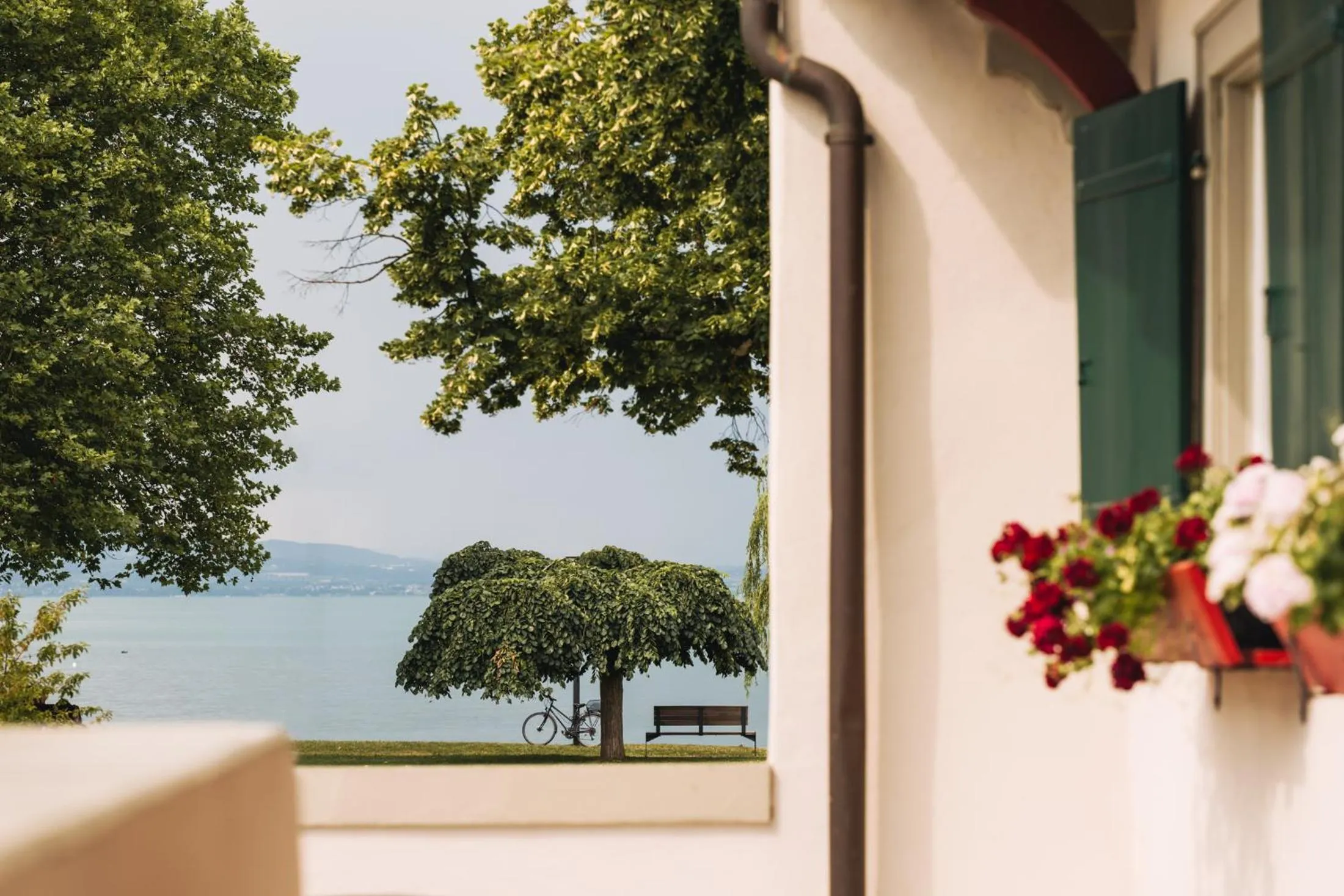 Property building in SeeHotel Amtshof