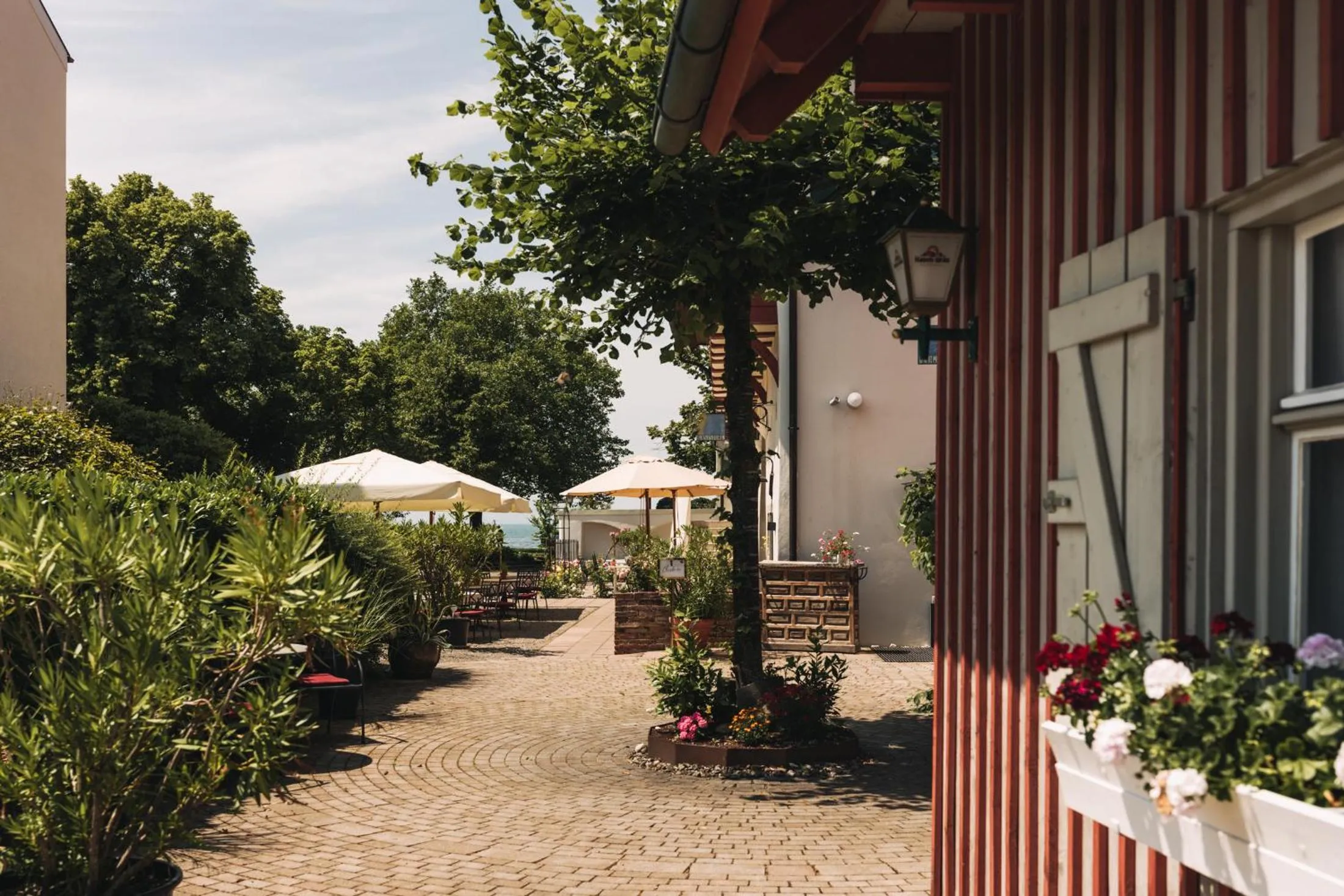 Patio in SeeHotel Amtshof