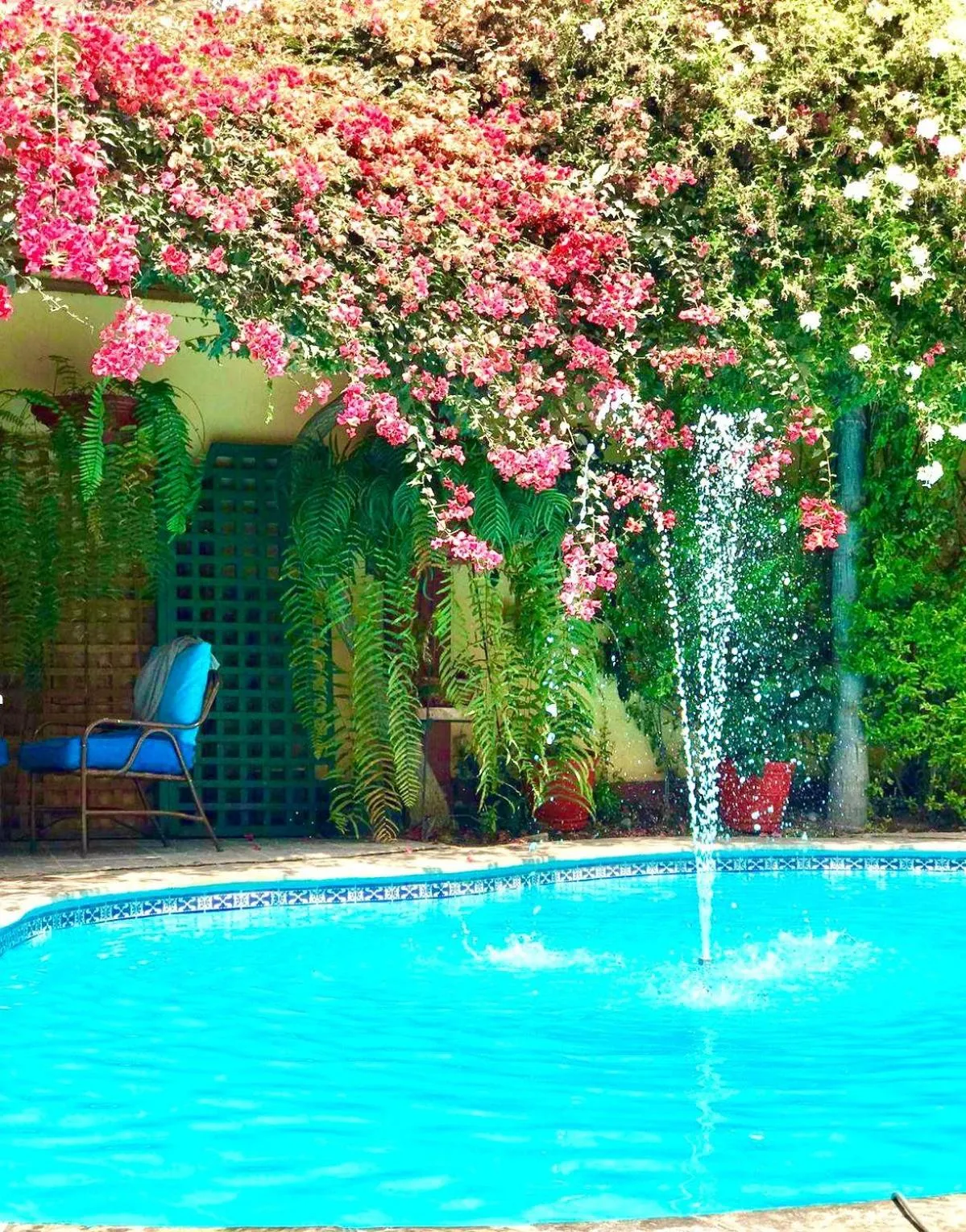 Spring in Peru Star Apart-Hotel