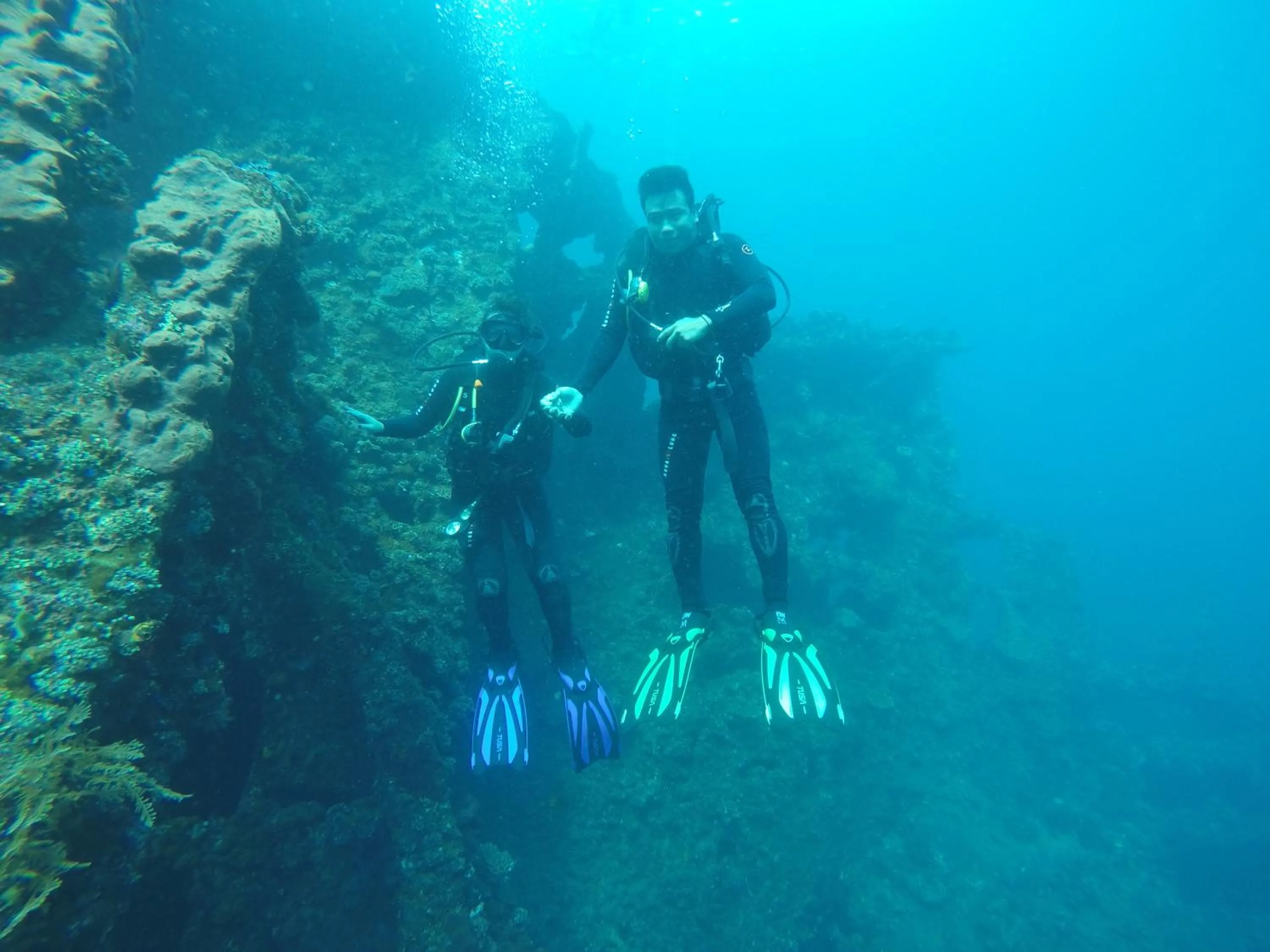 Diving in Ocean View Tulamben Dive & Resort