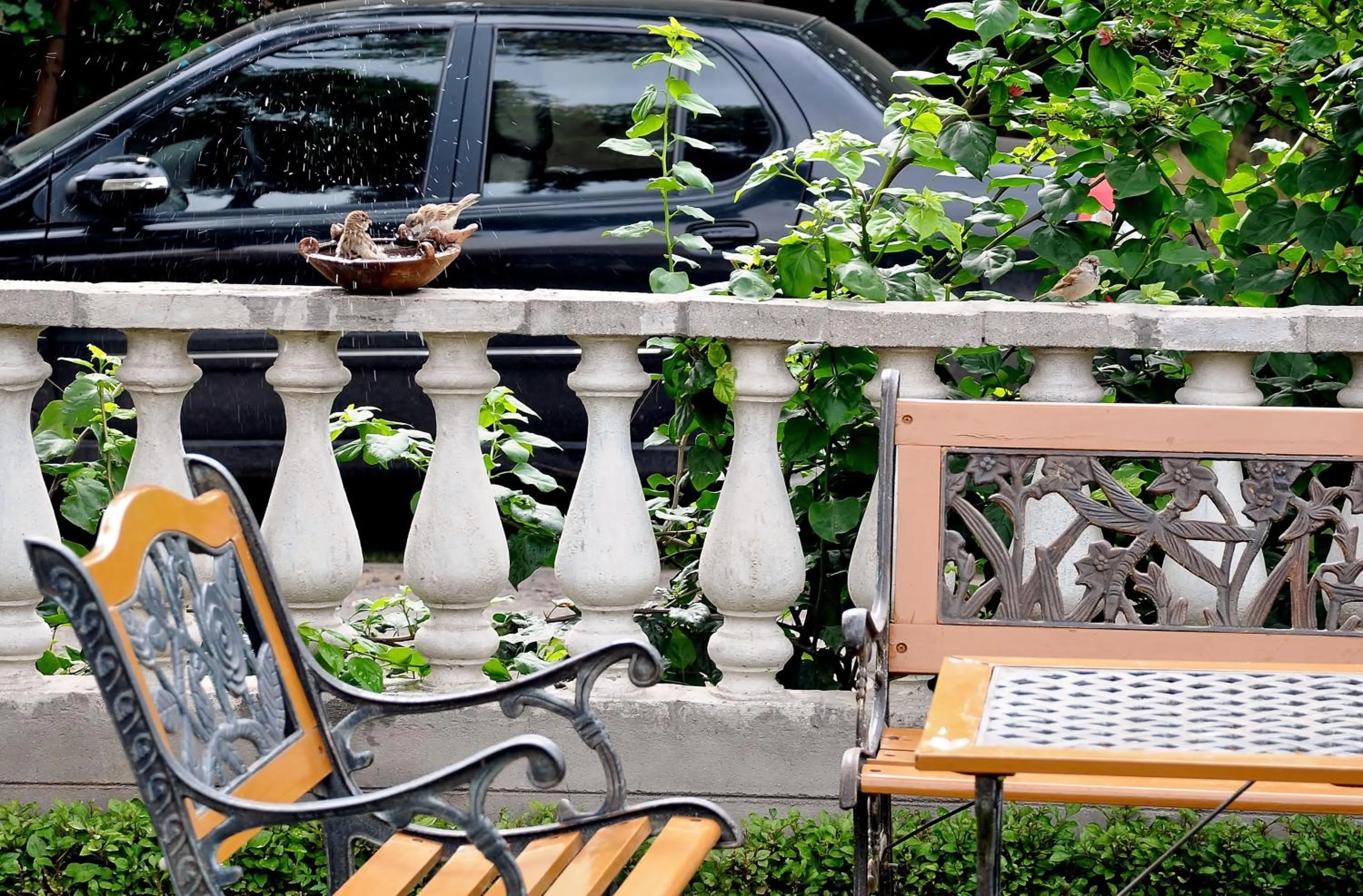 Garden in Hotel Jai Niwas