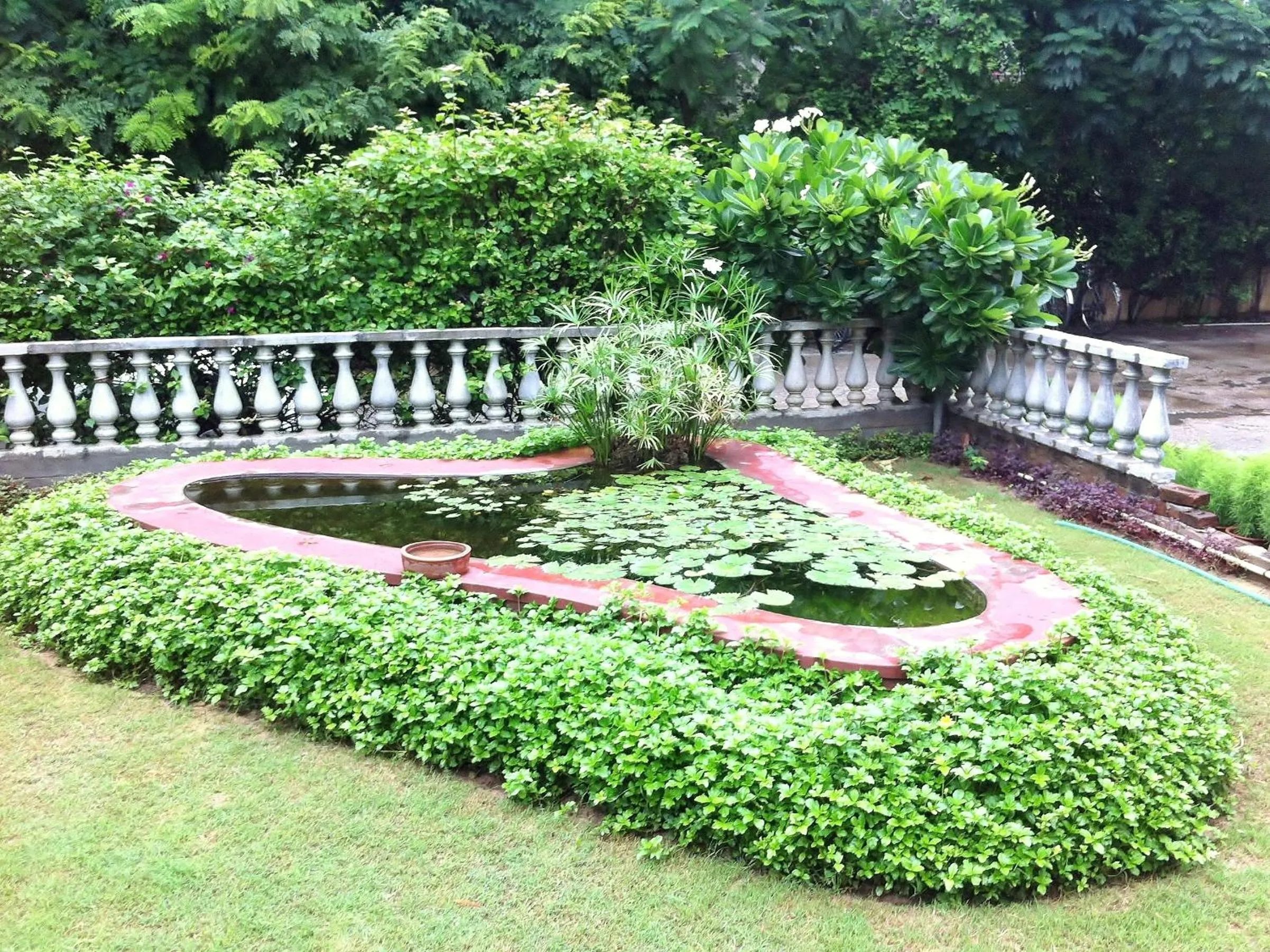 Garden in Hotel Jai Niwas