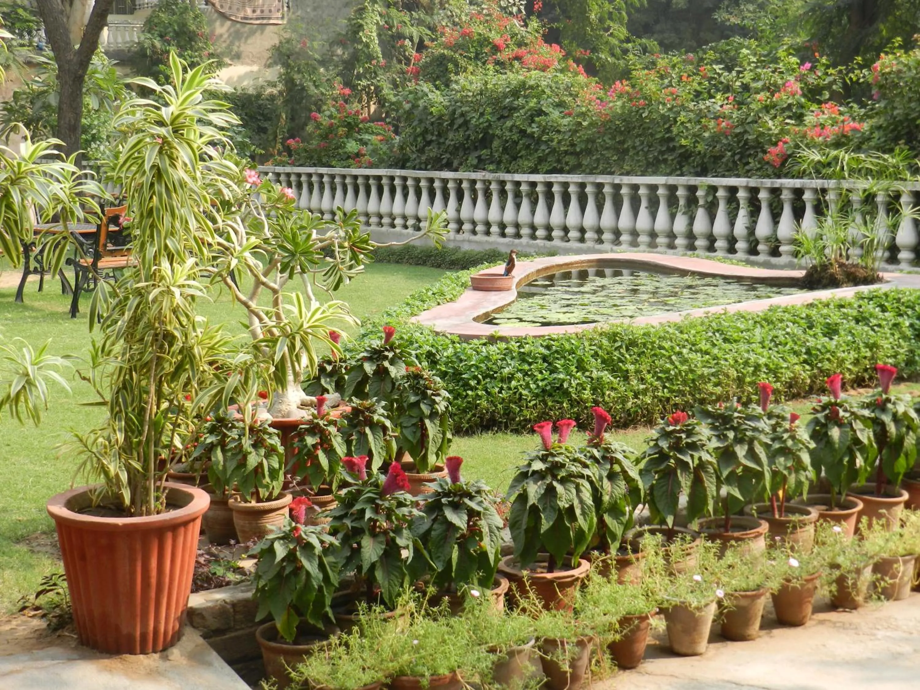 Garden in Hotel Jai Niwas