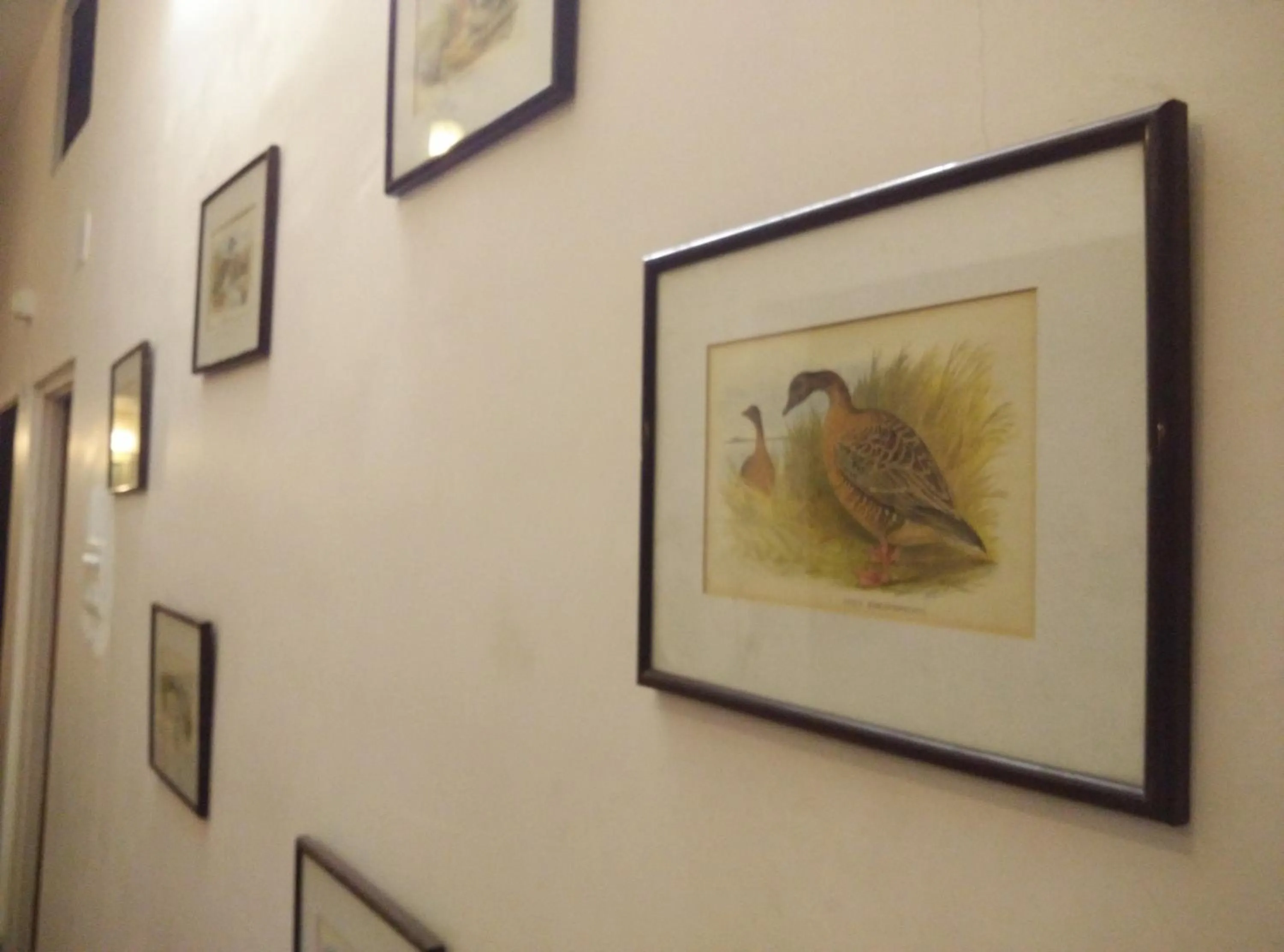 Decorative detail in Hotel Jai Niwas