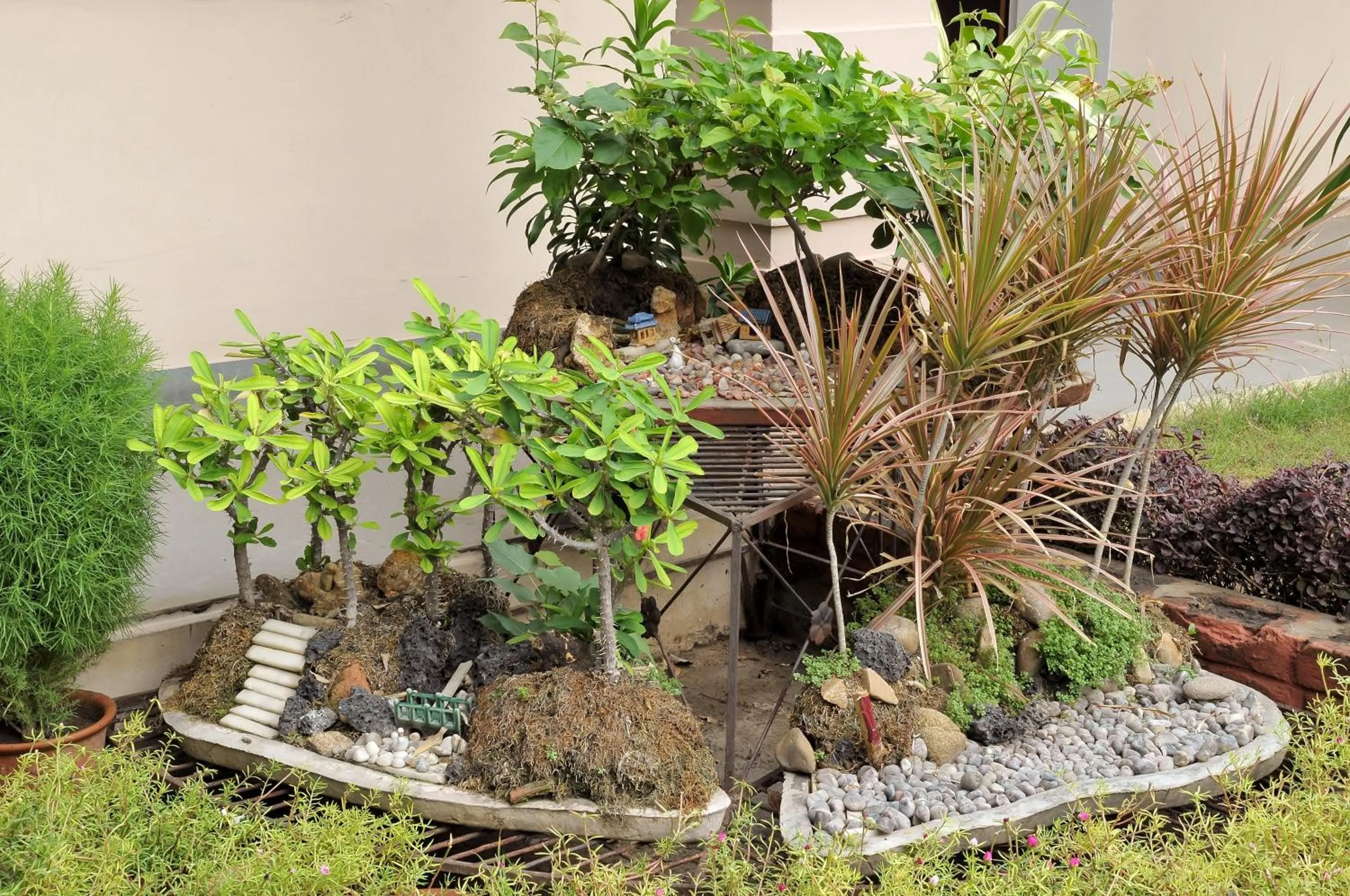 Garden in Hotel Jai Niwas