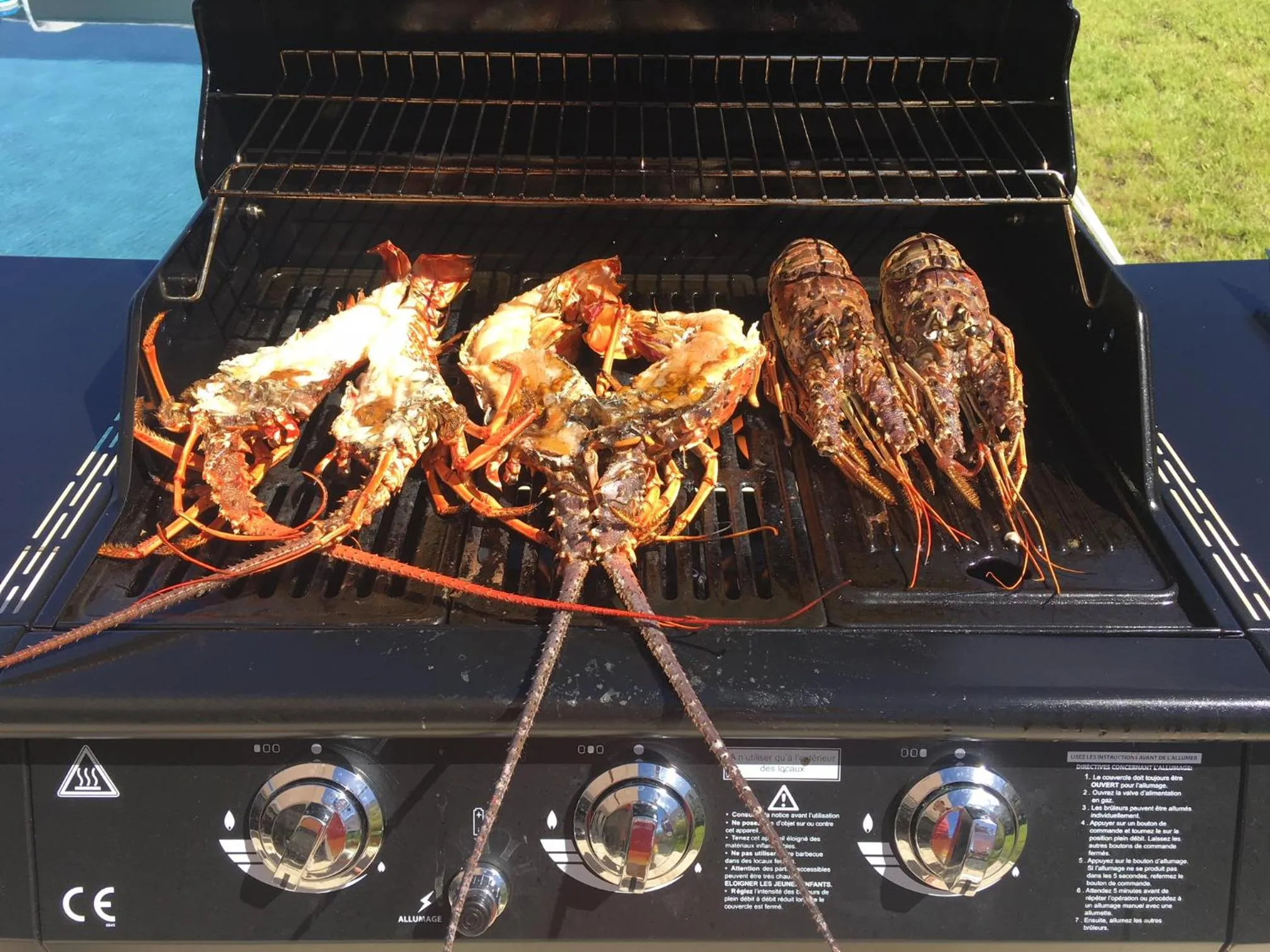 Lunch in Villa Mojito