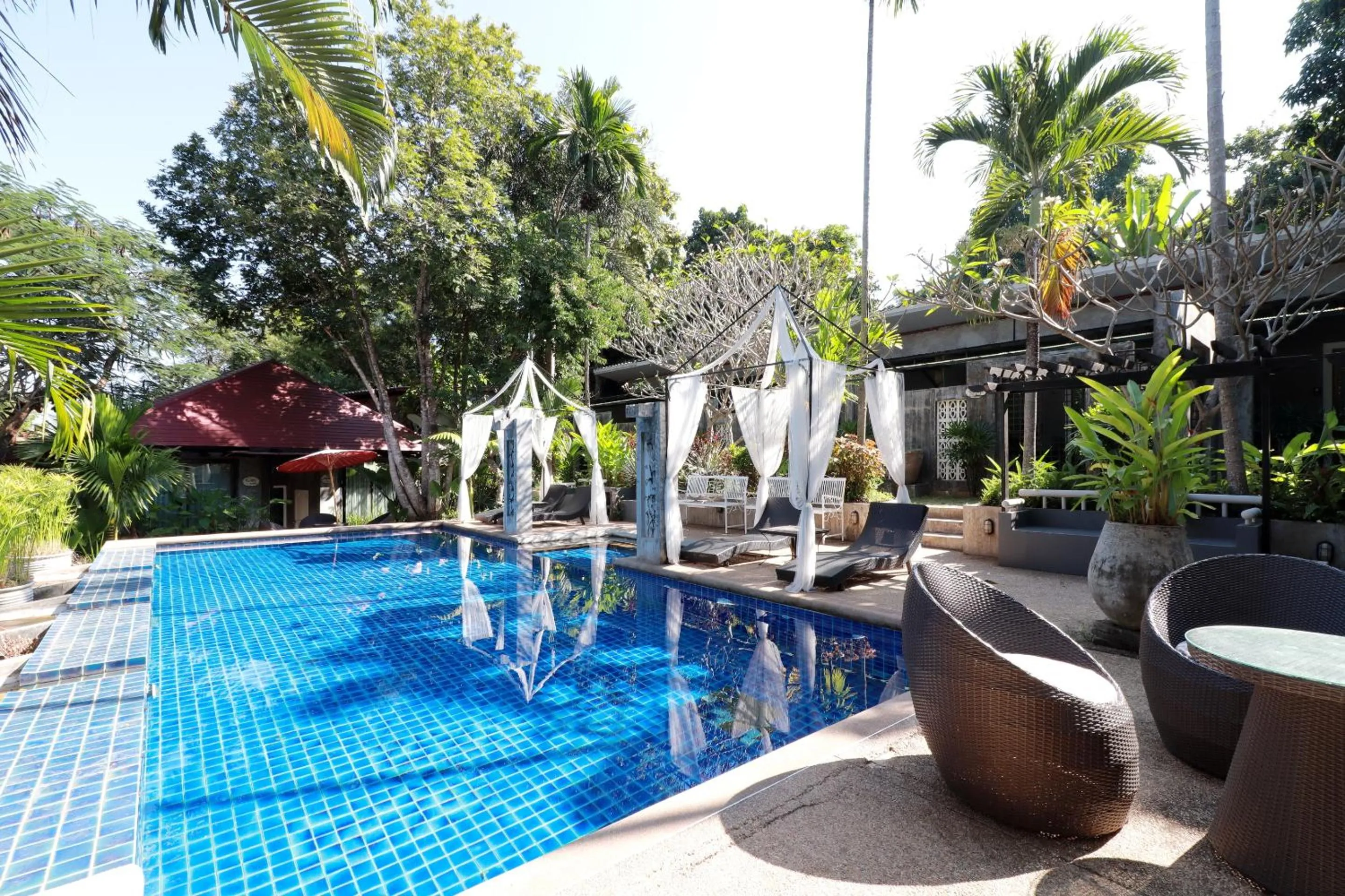 Swimming pool in Capital O 464 At Nata Chiangmai Chic Jungle