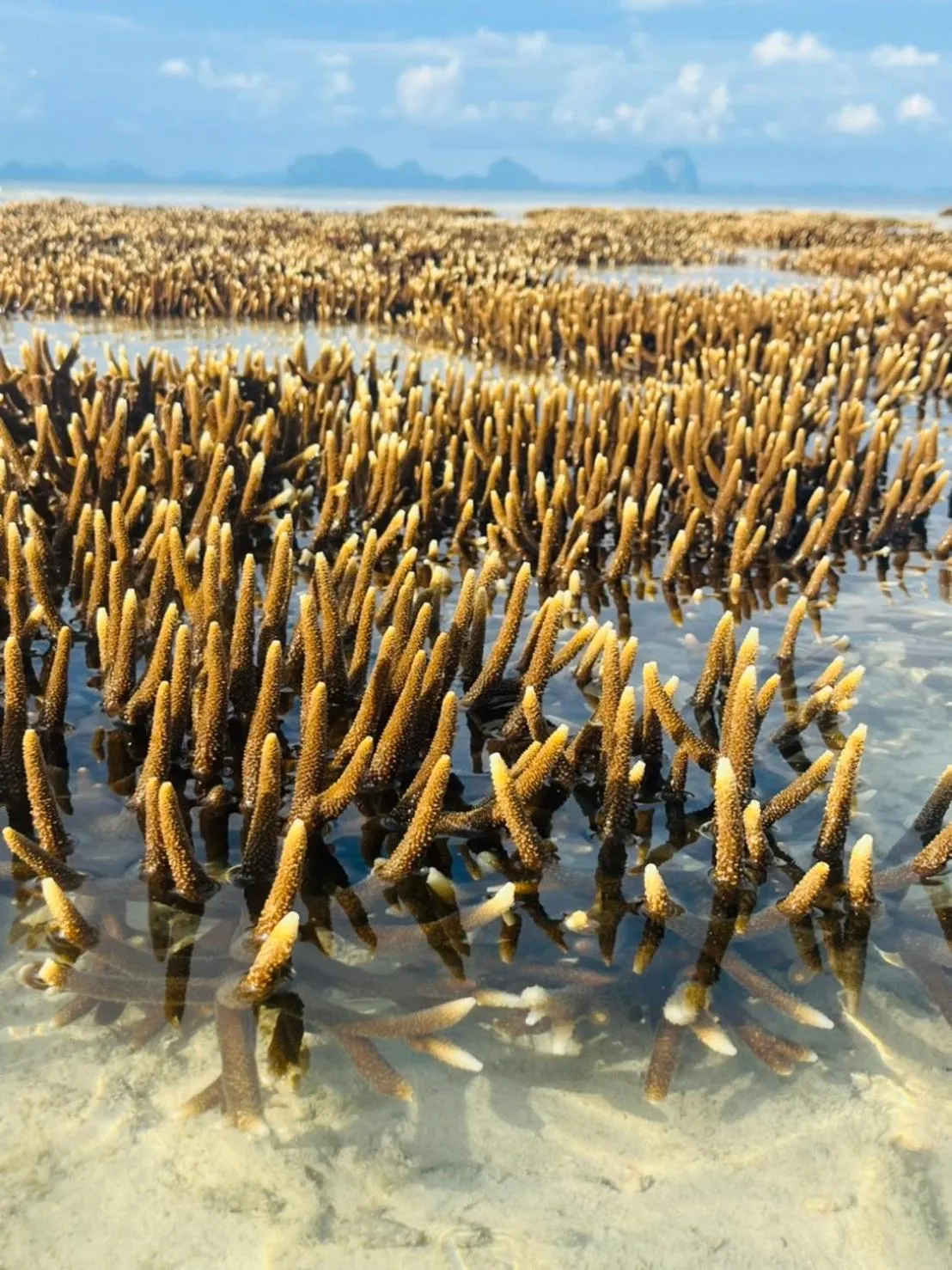 Beach in Thapwarin Resort - Green Hotel