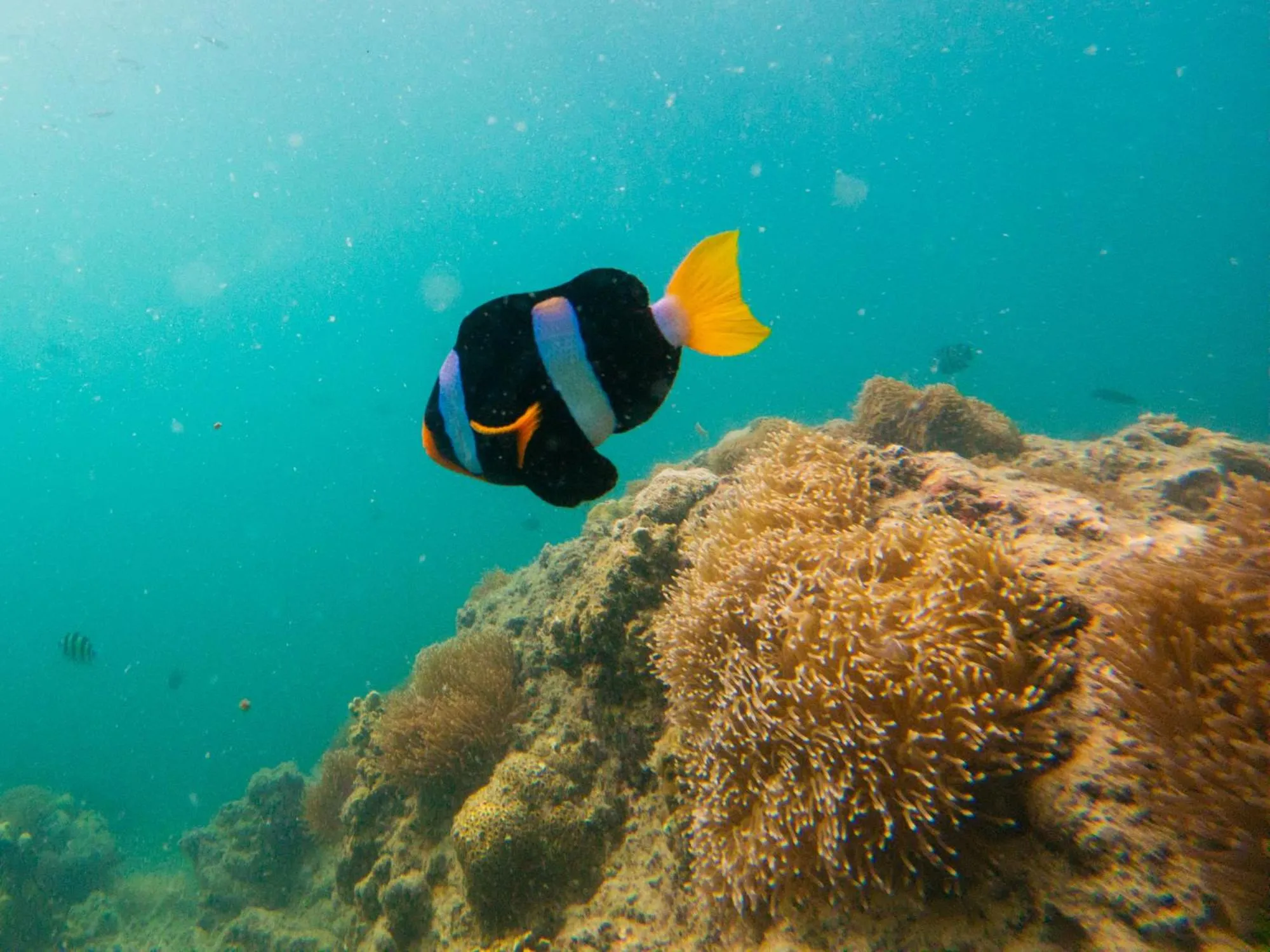 Natural landscape in Thapwarin Resort - Green Hotel