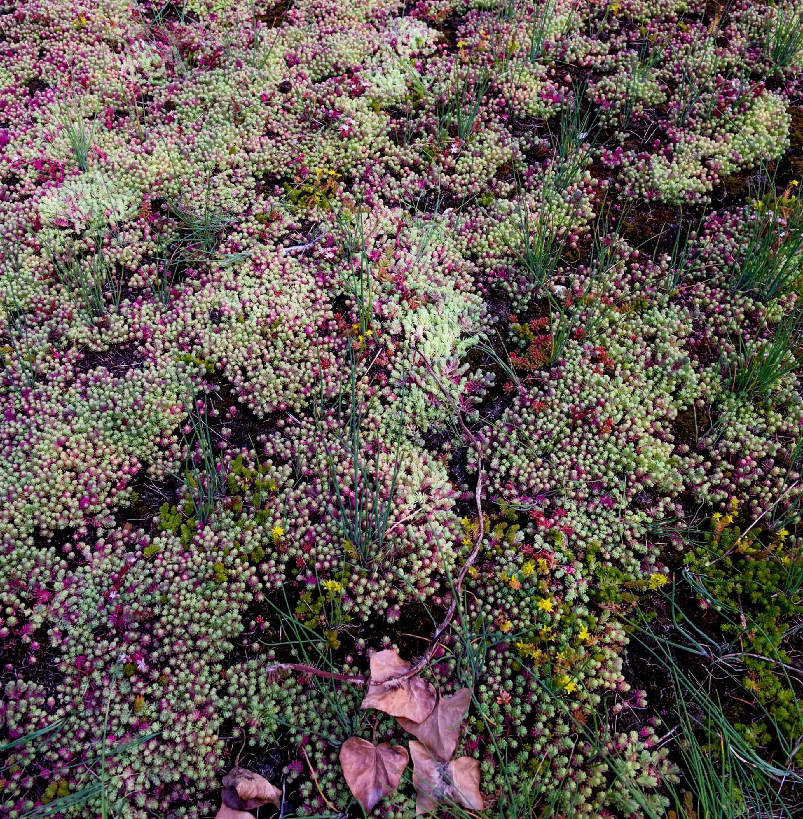 Garden view in B&B E48