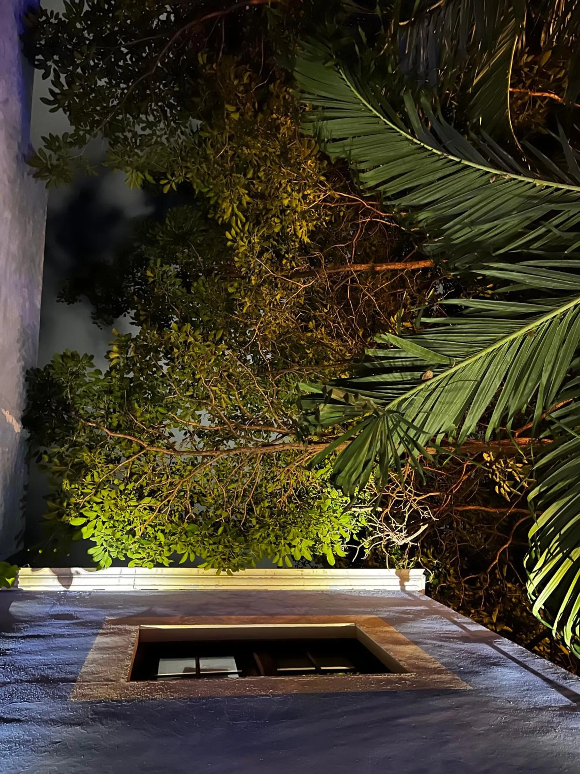 Night in Hotel Maculís