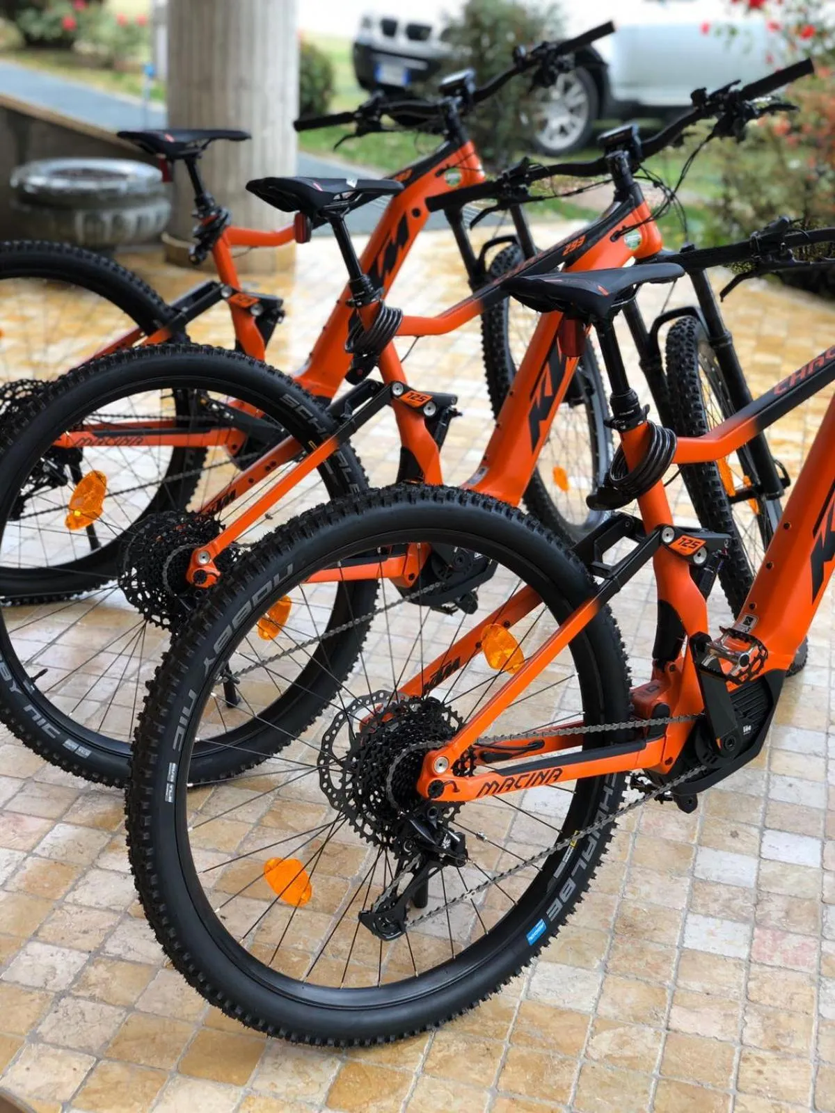 Cycling in Grand Hotel Elite