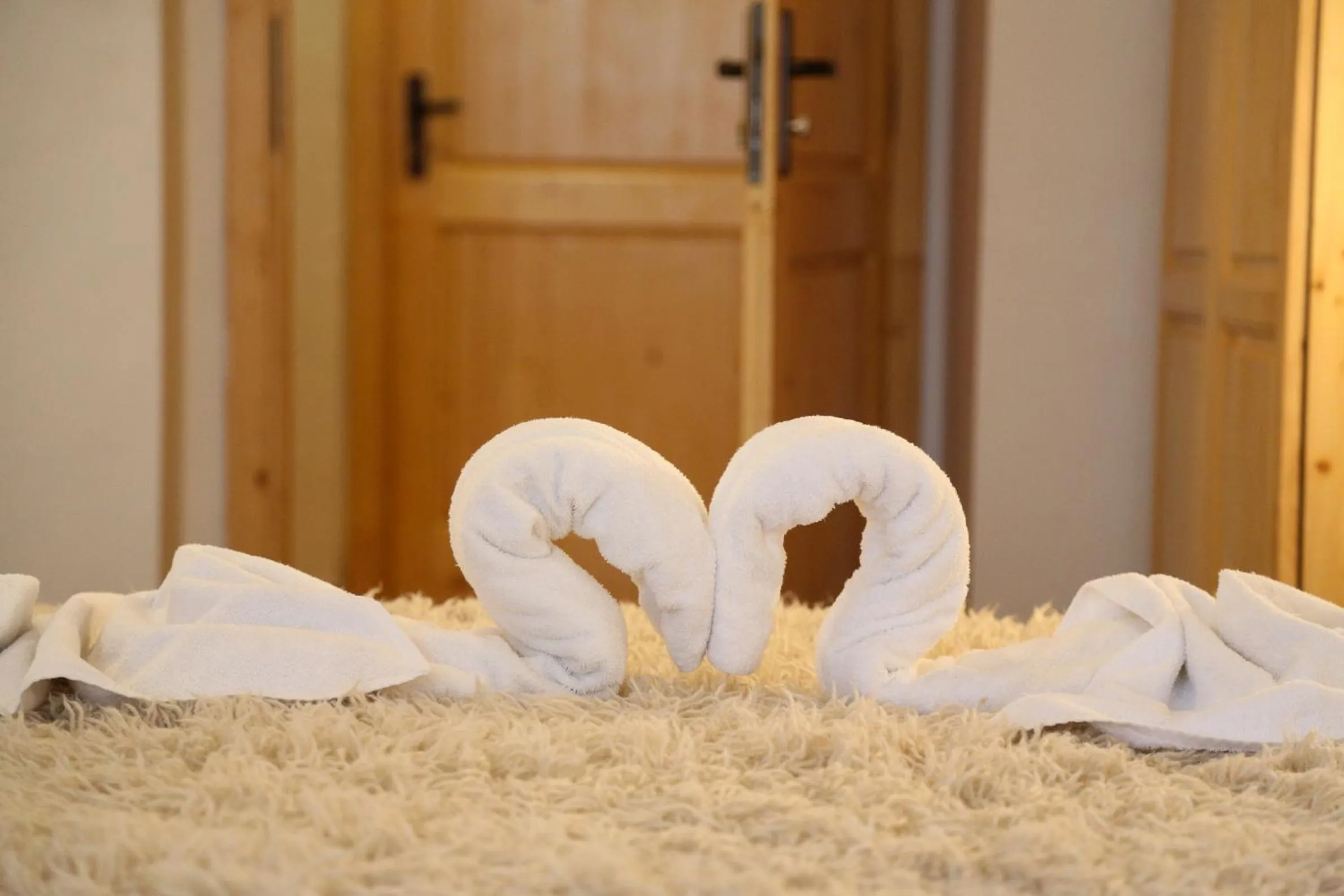 Decorative detail in Family Hotel Bisser