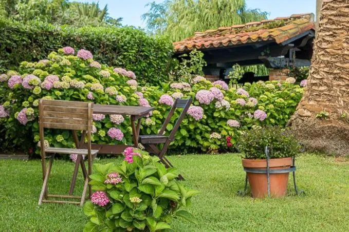 Garden in La Posada de Langre
